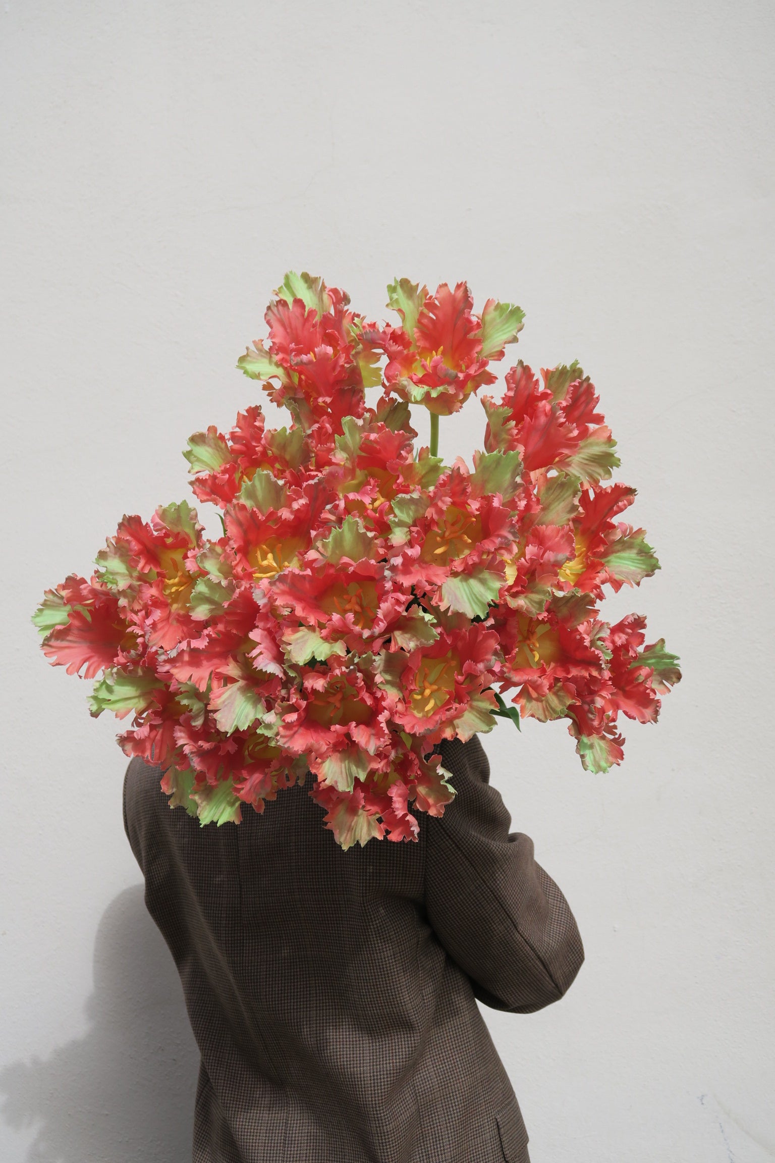 Papegojtulpan Orange 80 cm