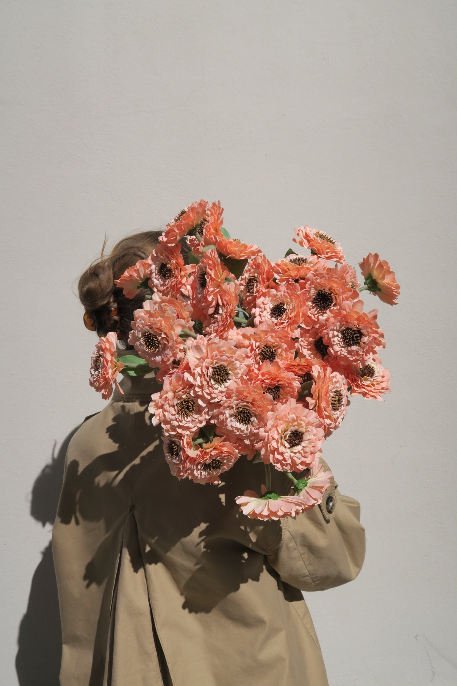 Zinnia Salmon 50 cm