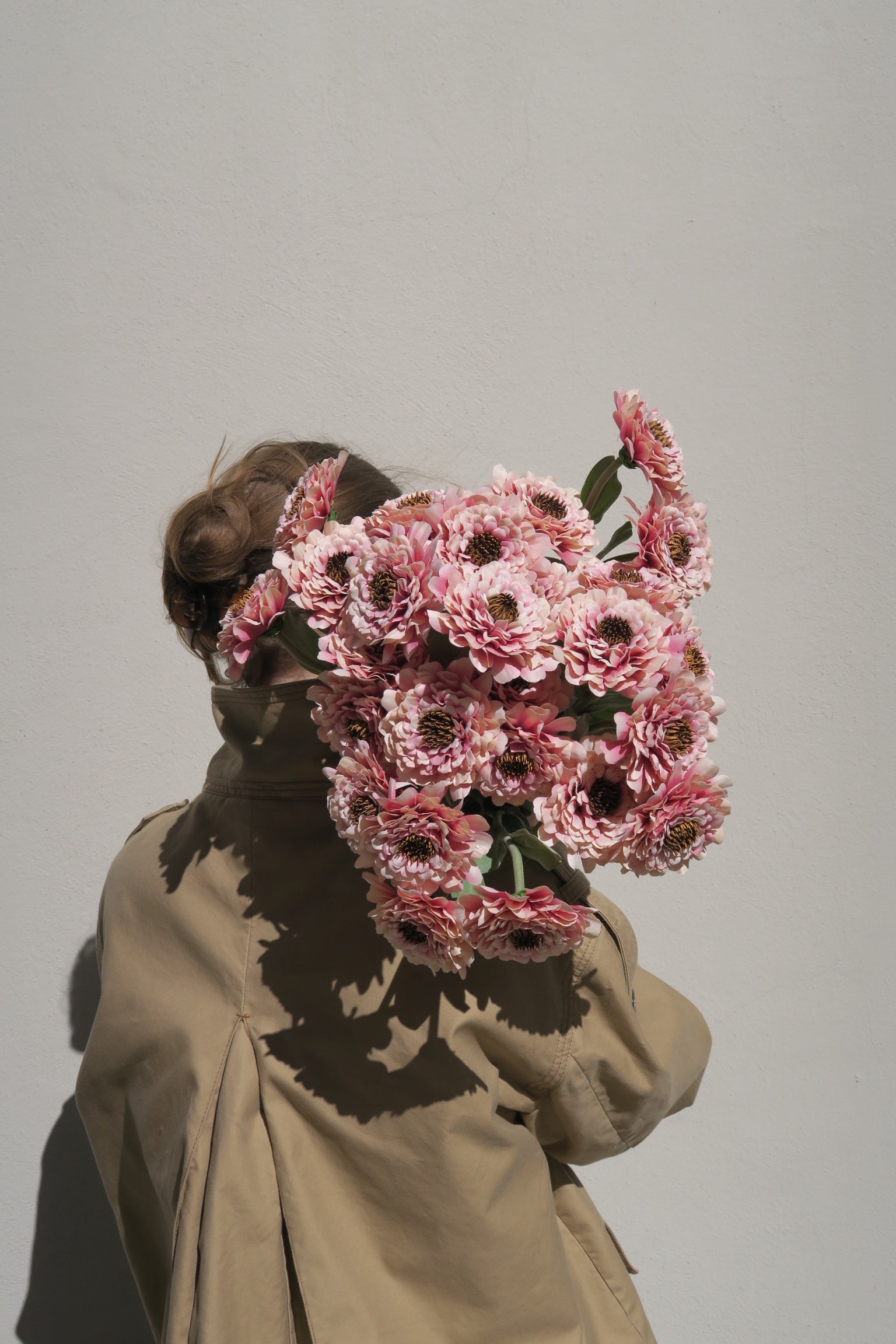 Zinnia Peach 50 cm