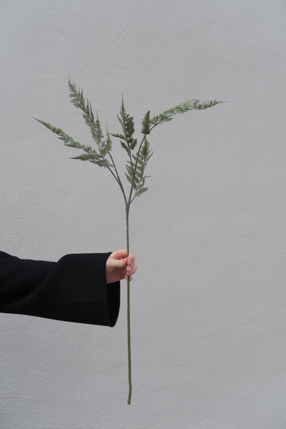 Ormbunksblad 90 cm