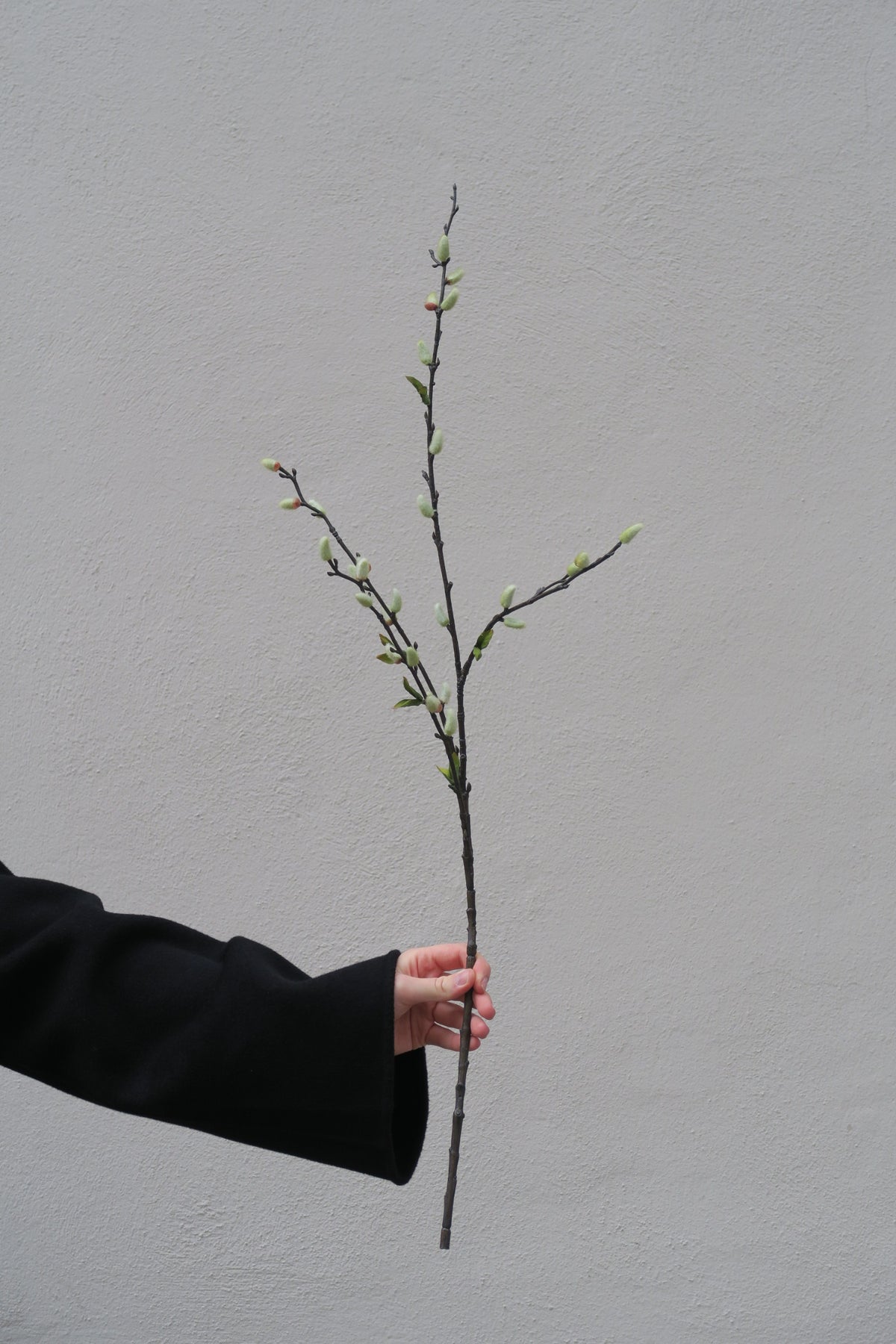Videkvist 85 cm