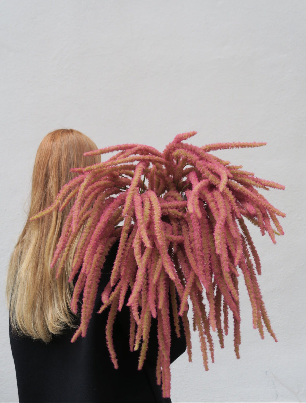 Amarant Rosa 65 cm