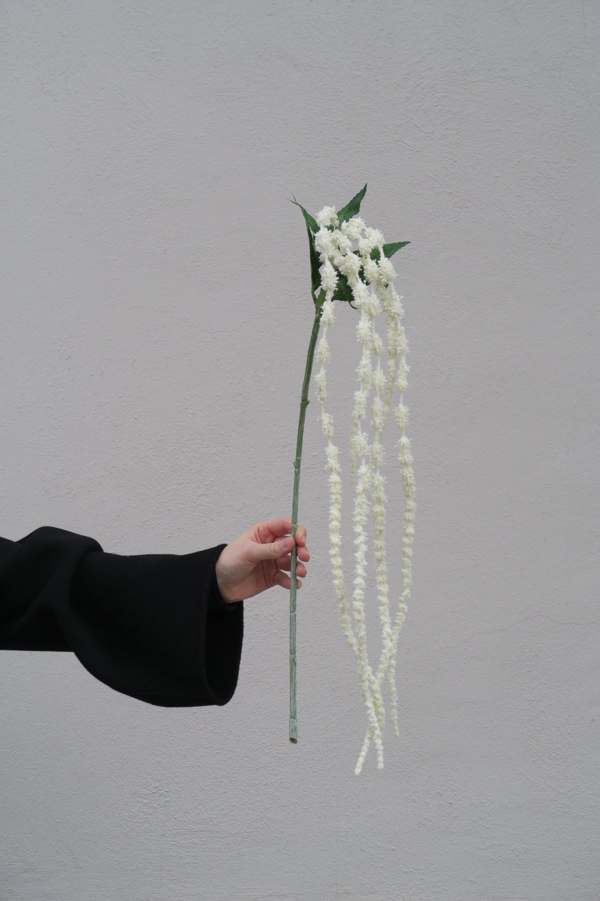 Amaranth White, 70 cm