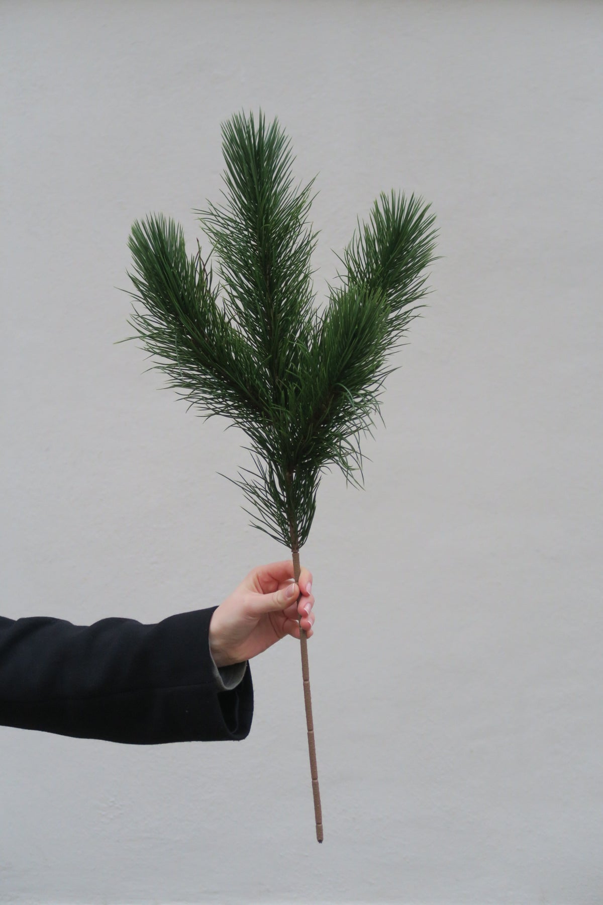 Tallris 75 cm
