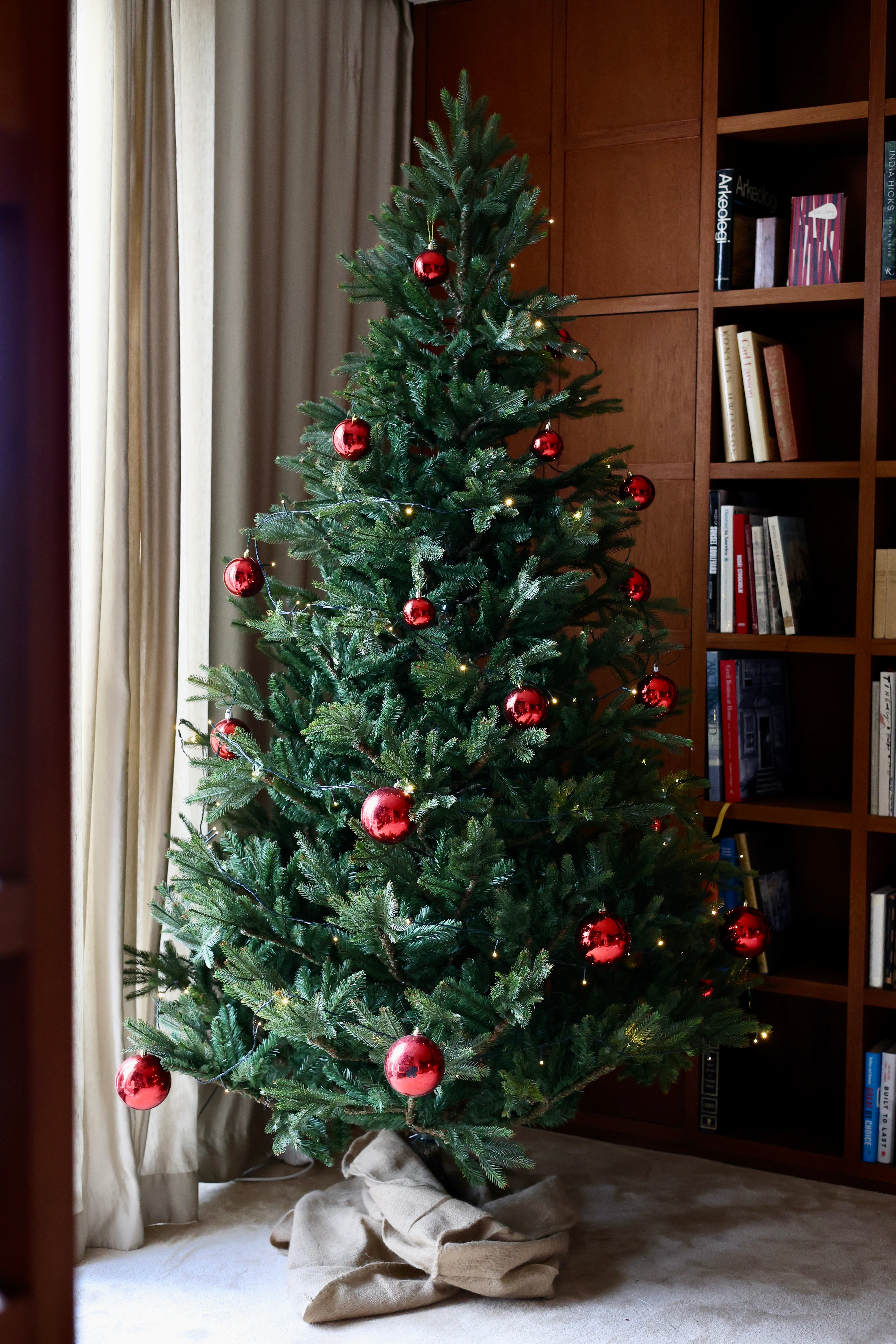 Julgran Frasier. Konstgran 185 - 260 cm