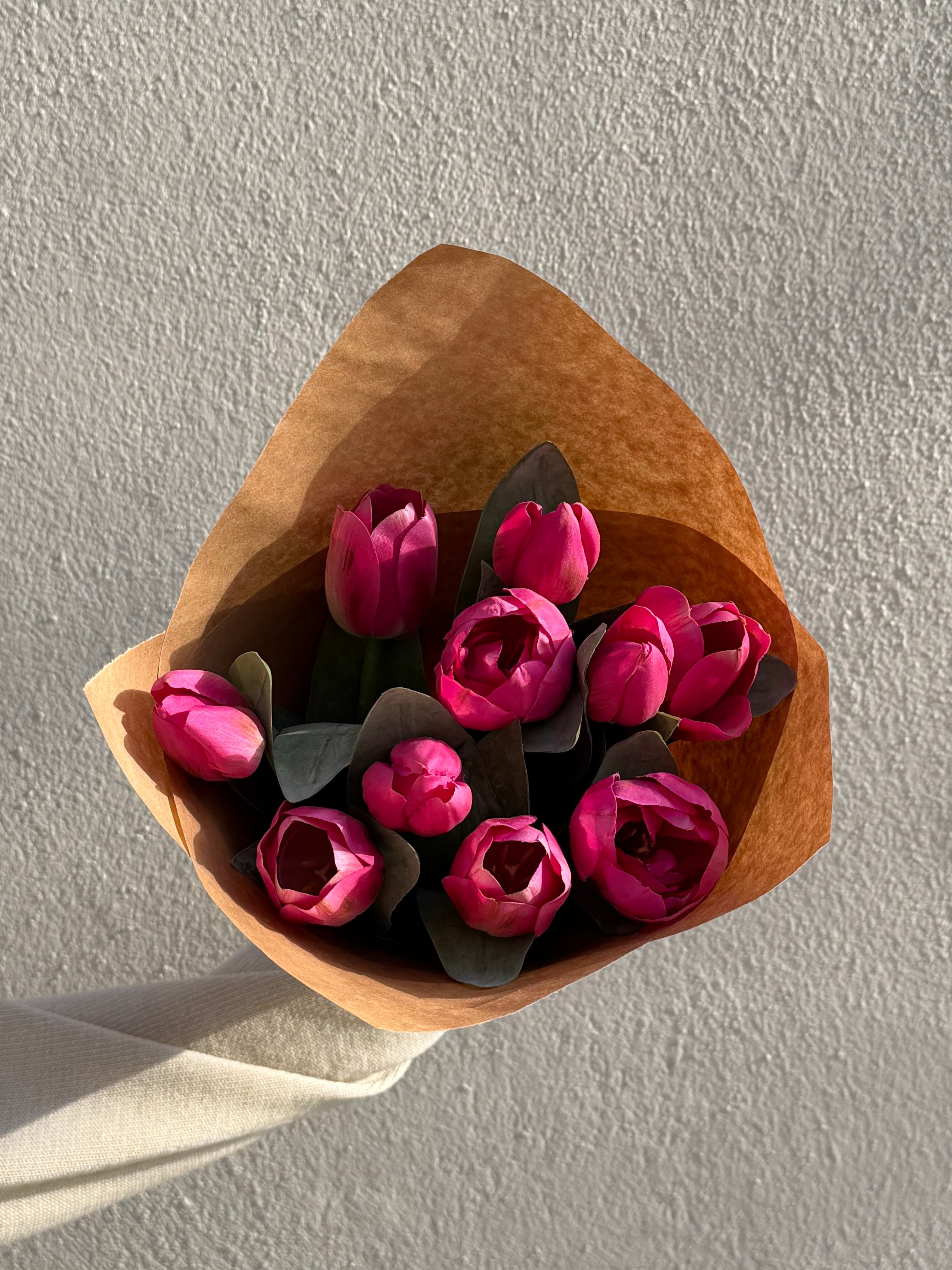 Tulpan 36 cm, Cerise