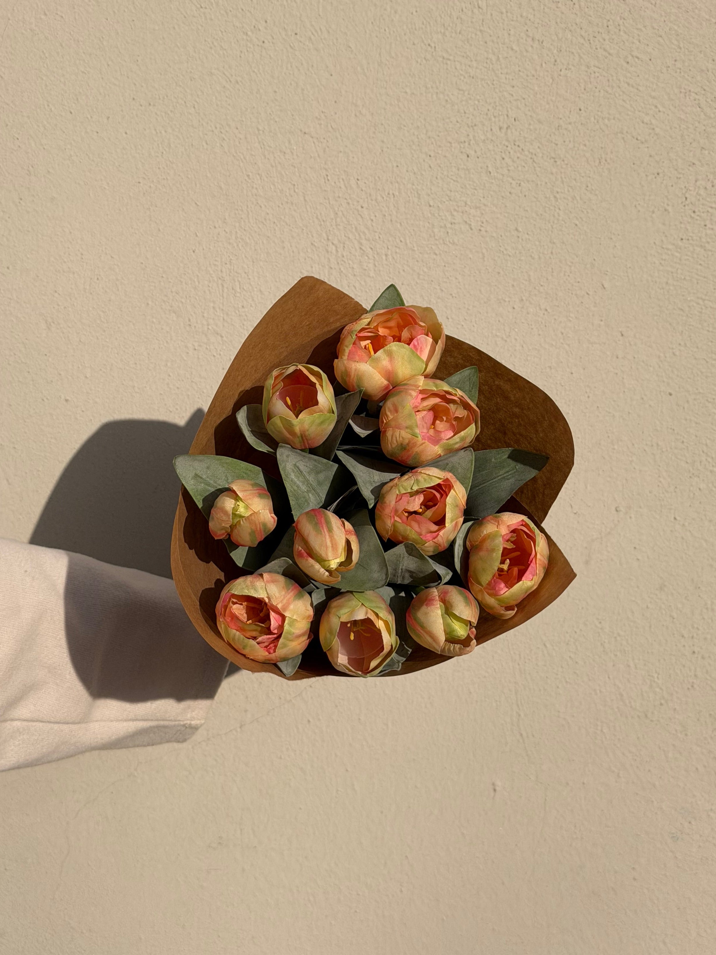 Tulpan Aprikos 36 cm