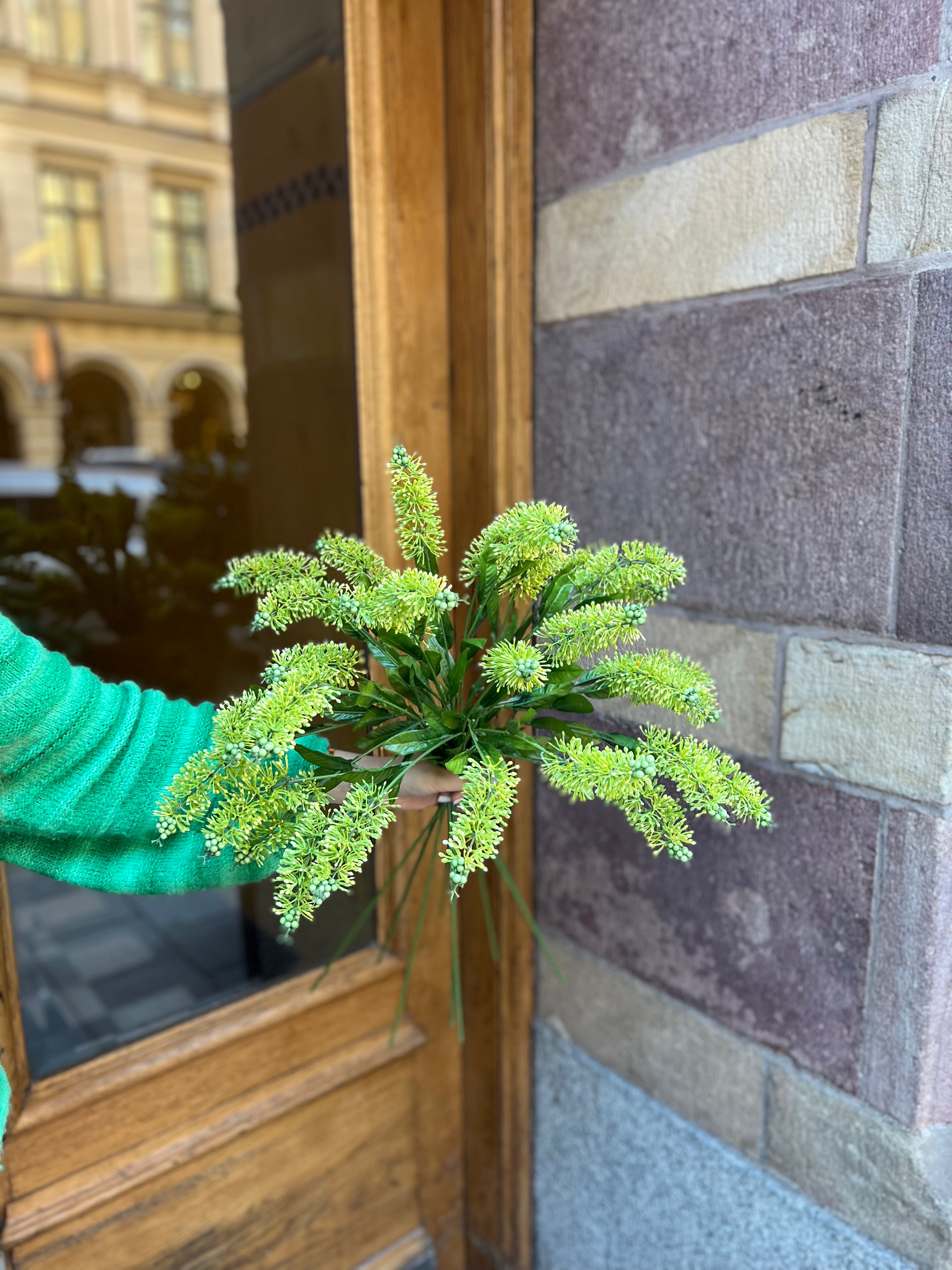 Astilbe Grön, 60 cm