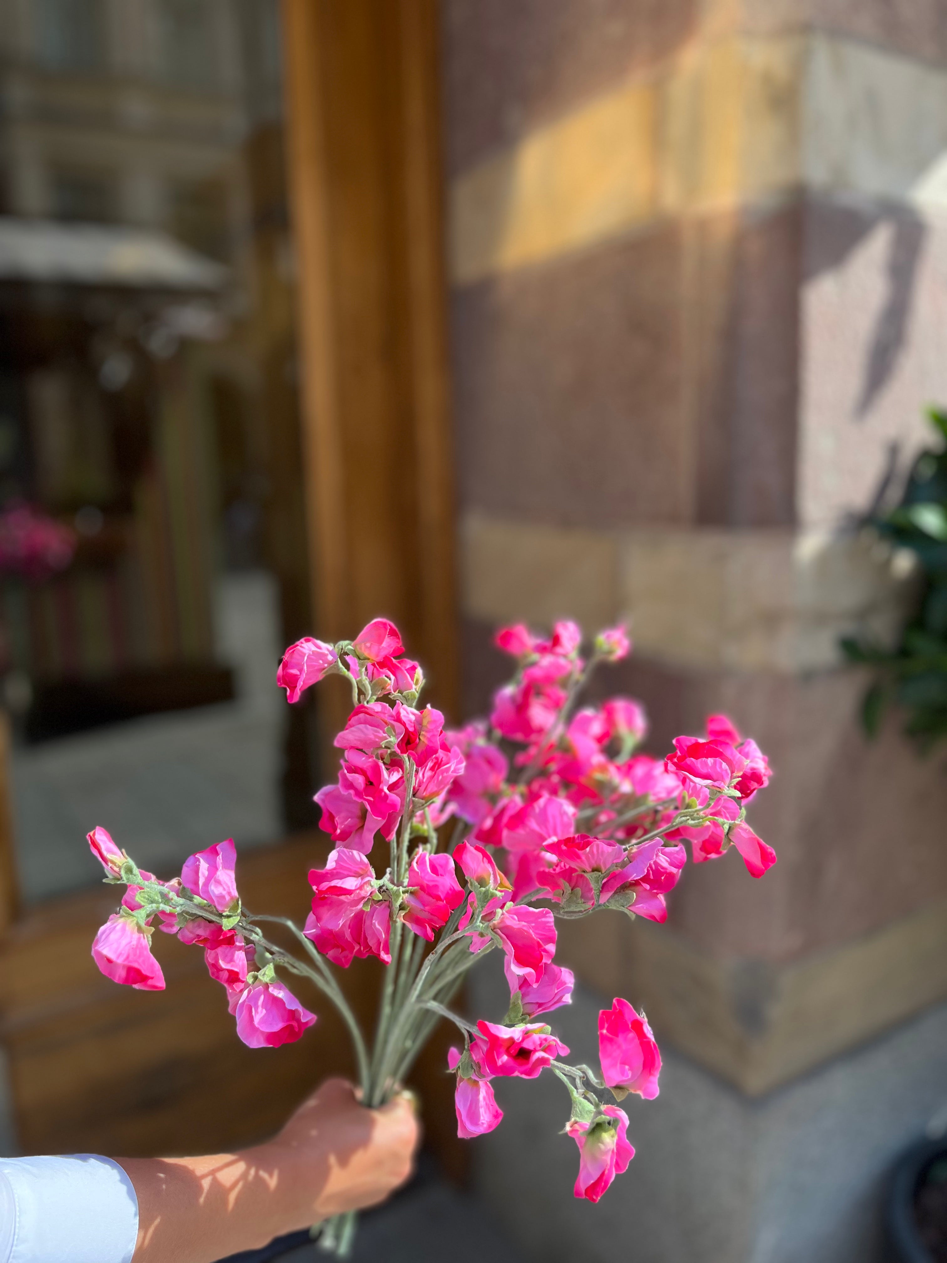 Luktärt Rosa, 40 cm