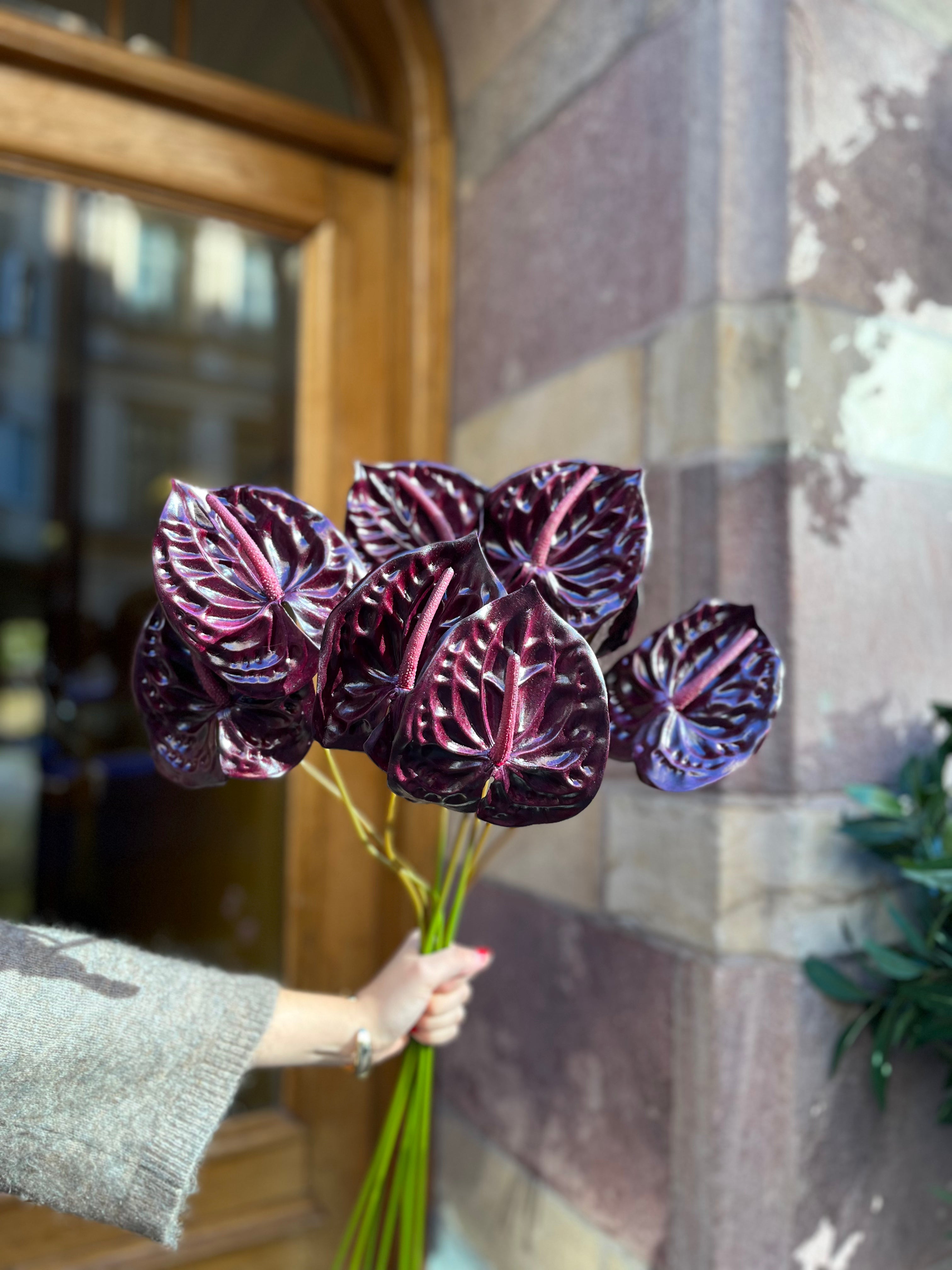 Anthurium Lila, 60 cm