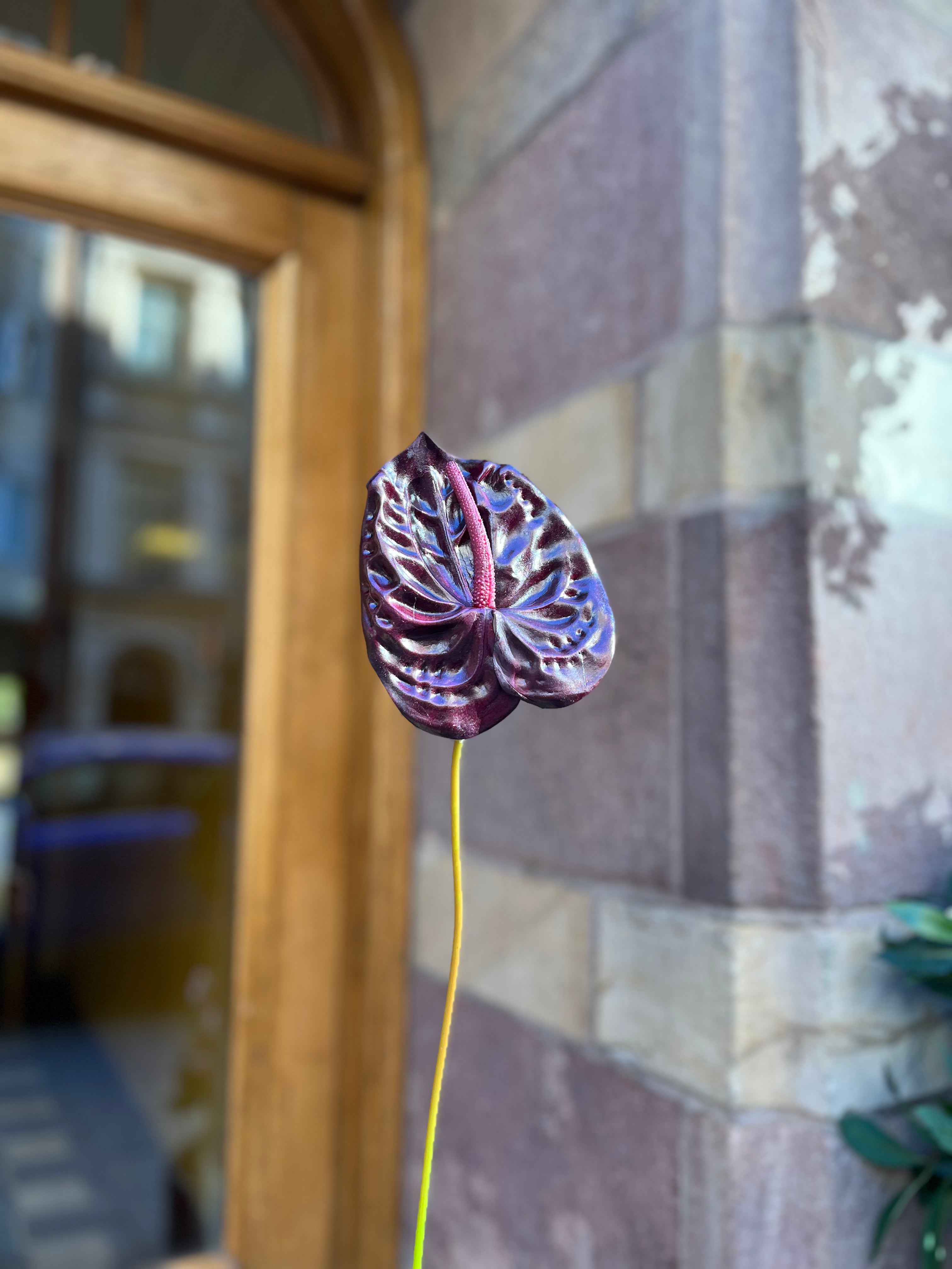 Anthurium Lila, 60 cm