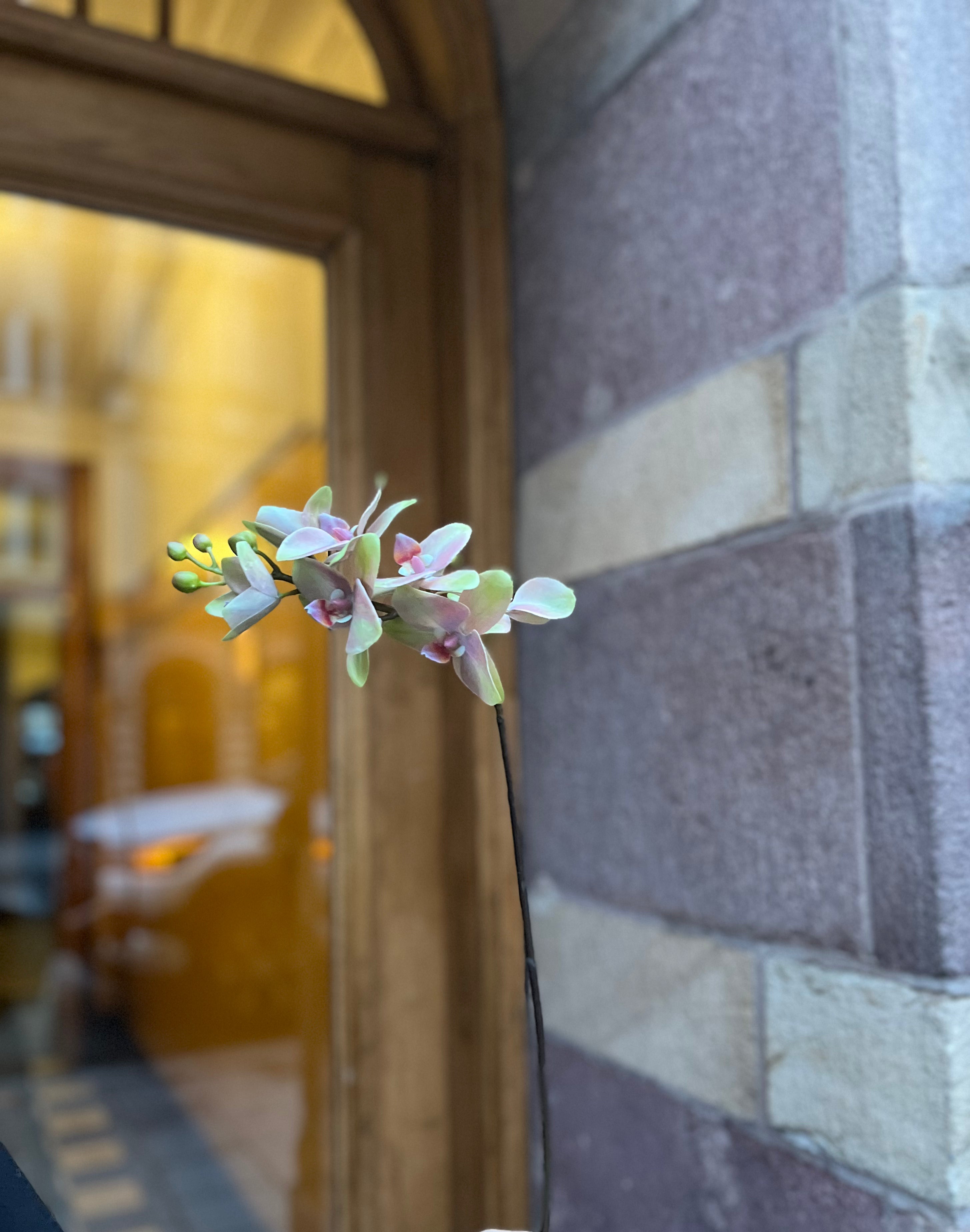 Orchid twig Green, 60 cm