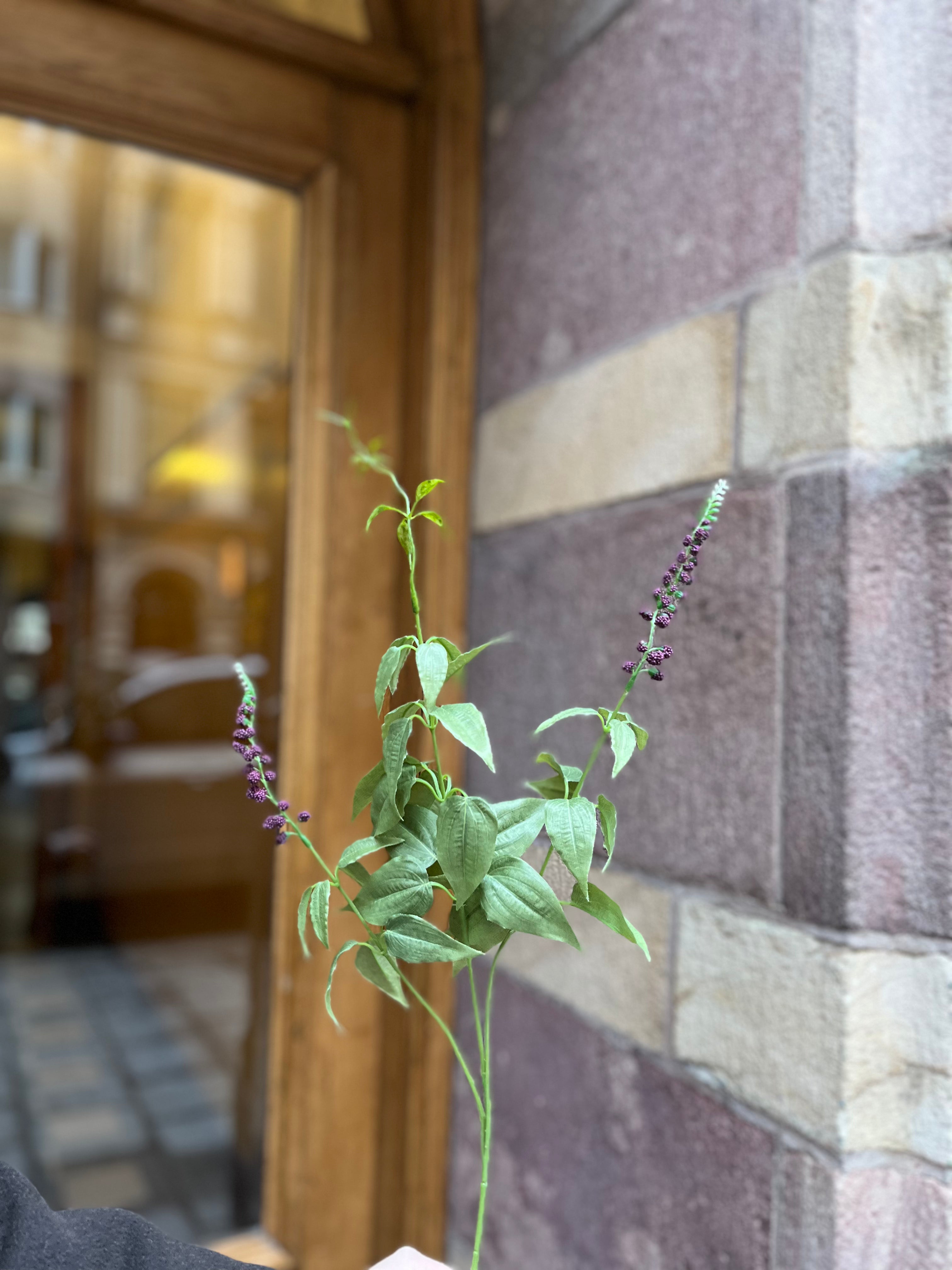 Lavendel Lila, 60 cm