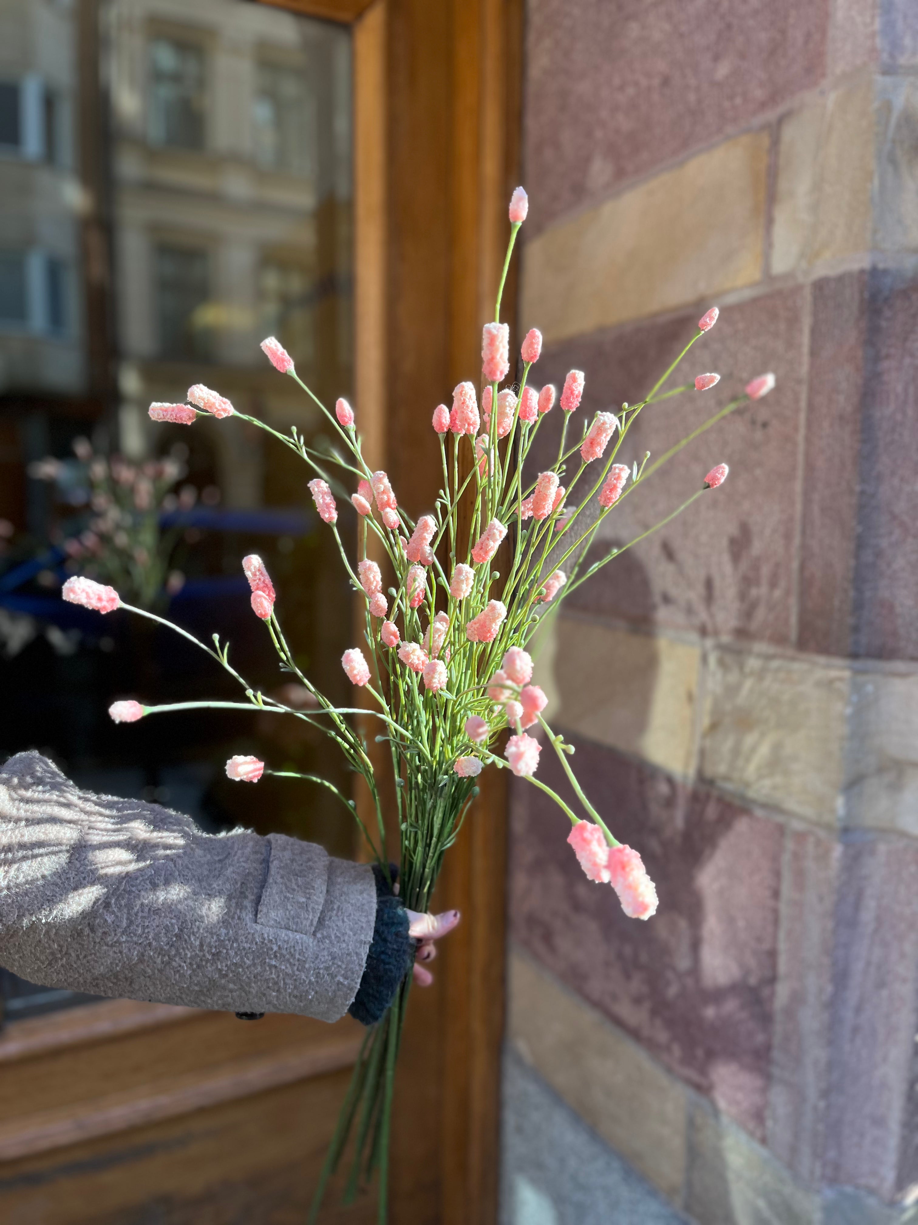 Pimpinelle Pink, 75 cm