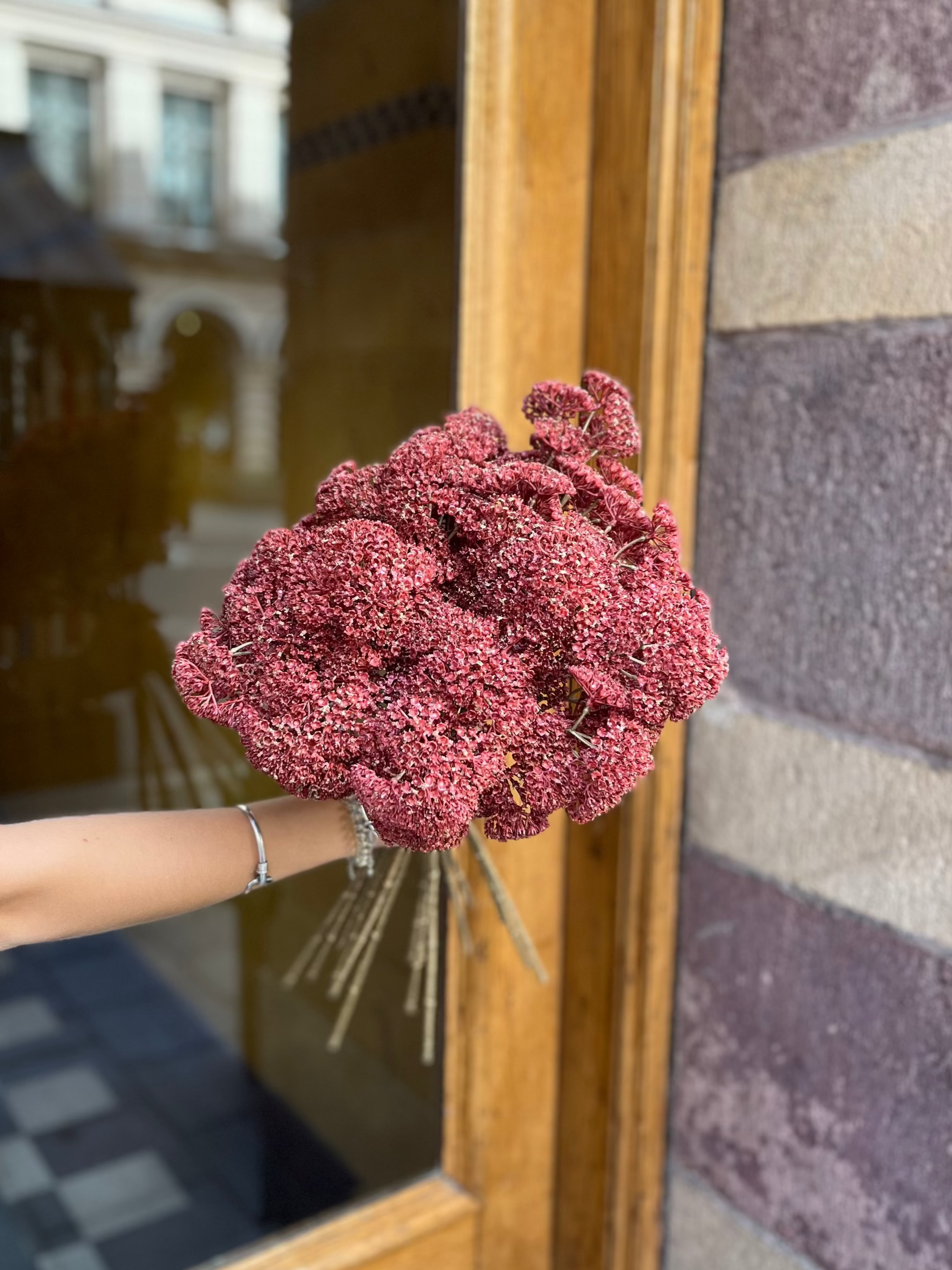 Röllika Röd/rosa, 50 cm