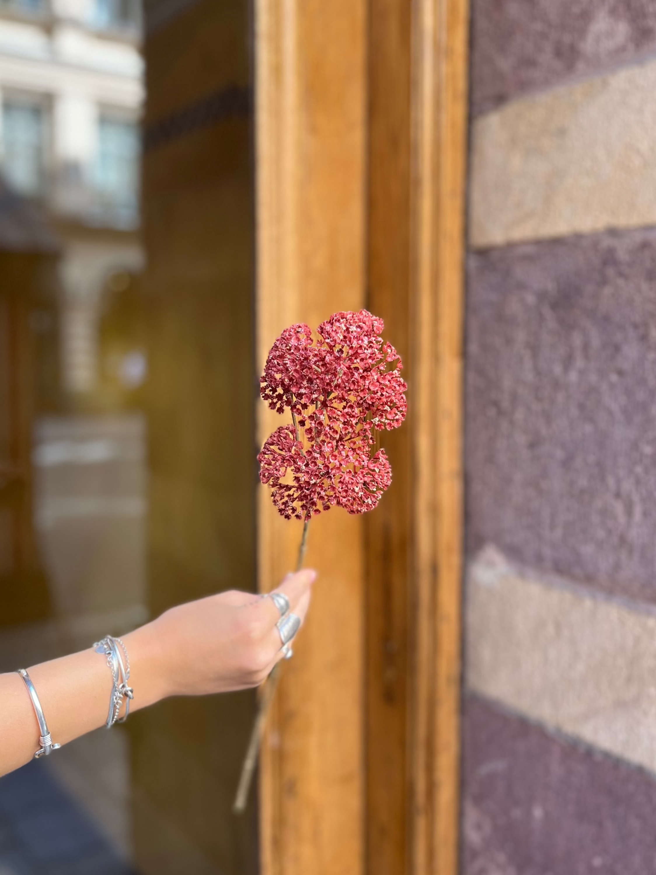 Röllika Röd/rosa, 50 cm