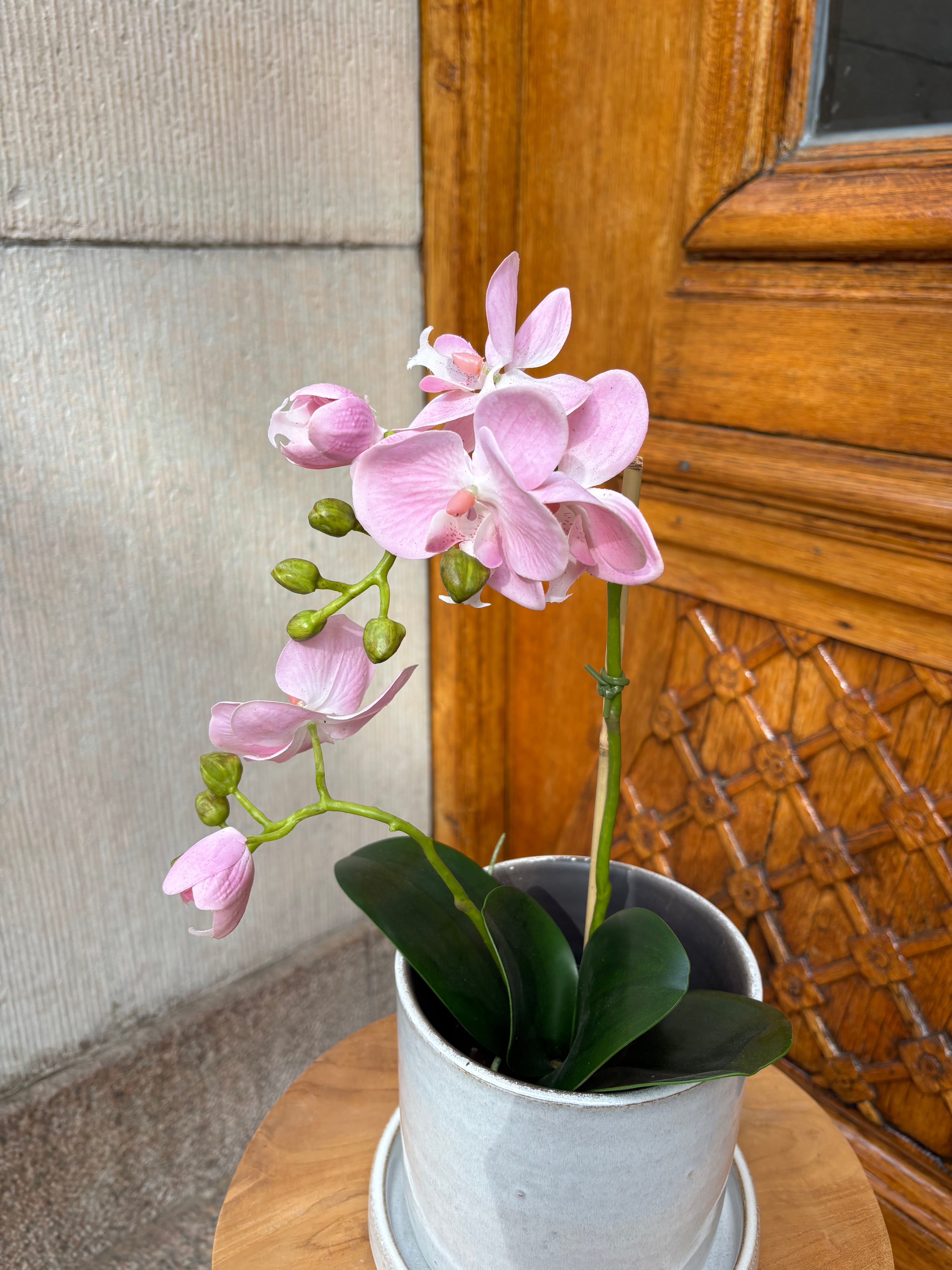 Orkidé i kruka 45 cm, ljusrosa