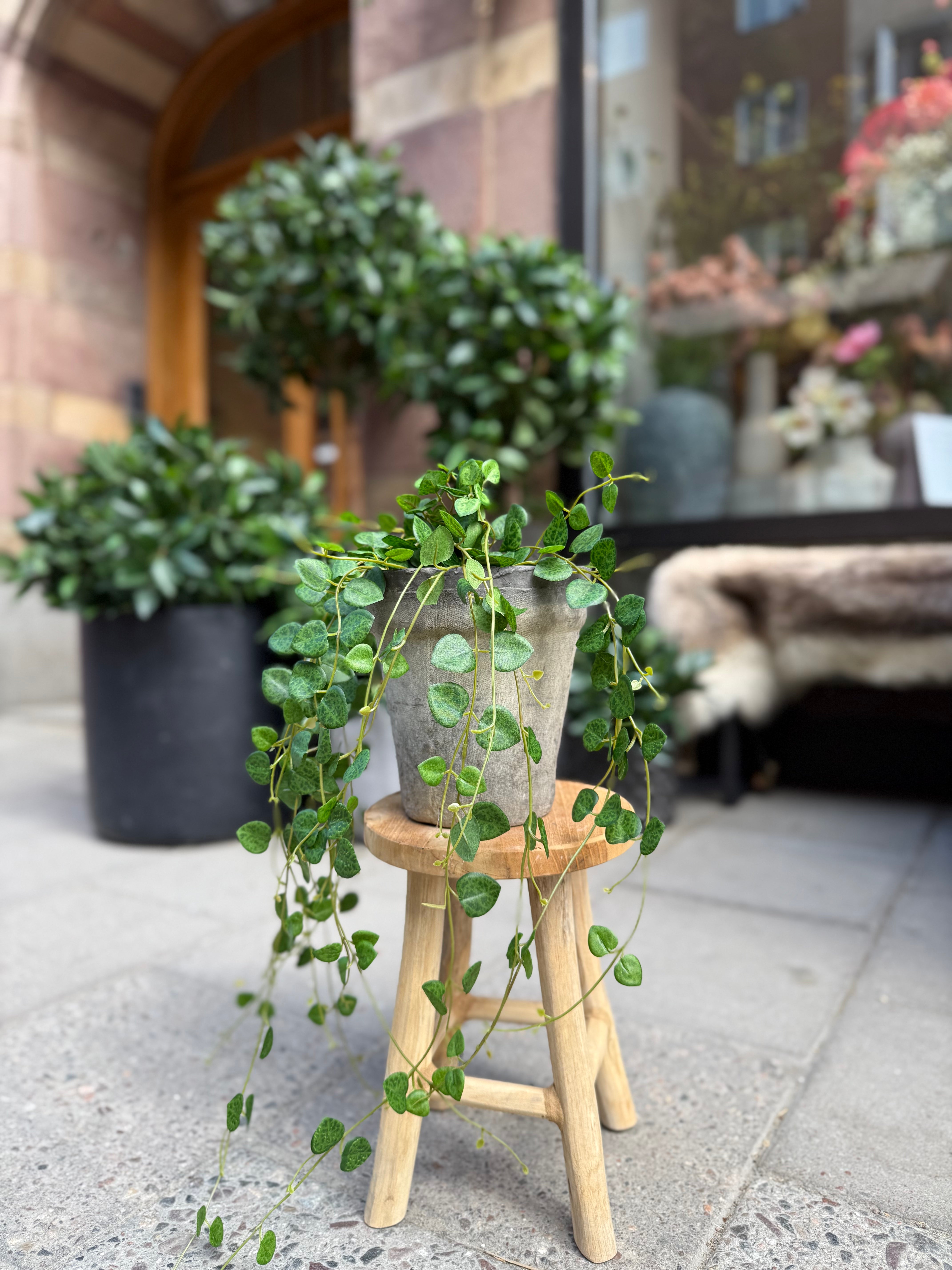 Hjärta på tråd, 50 cm