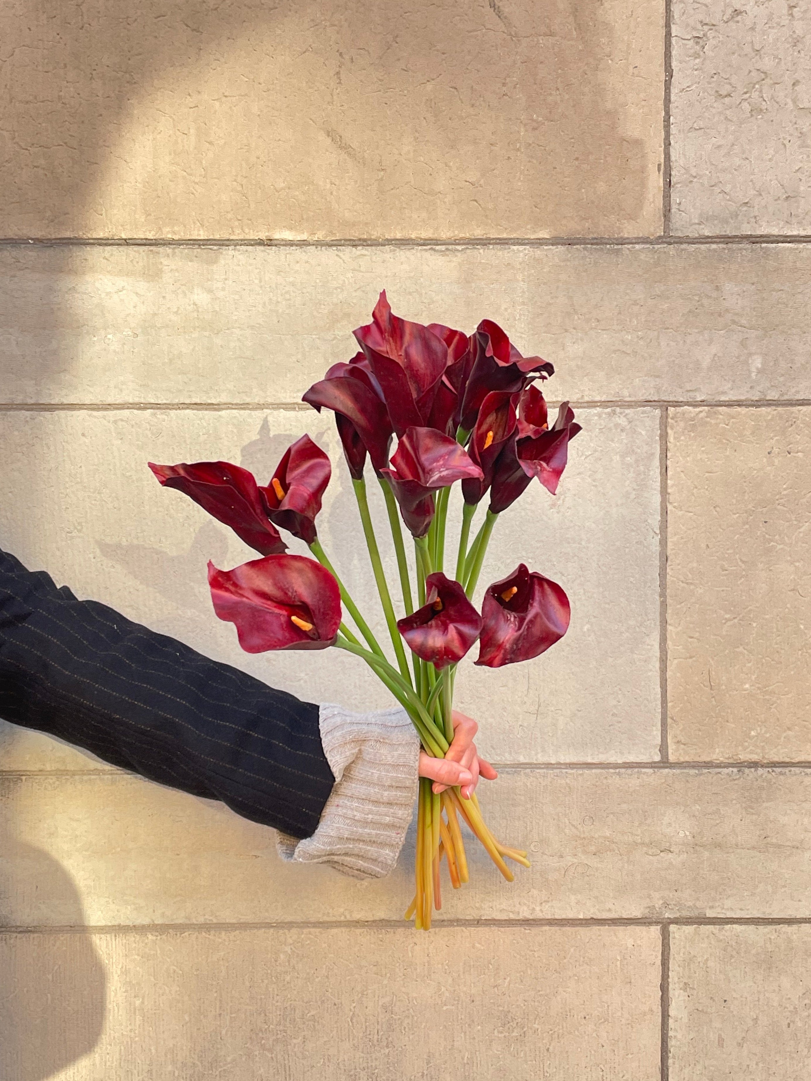 Calla Burgundy, 60 cm