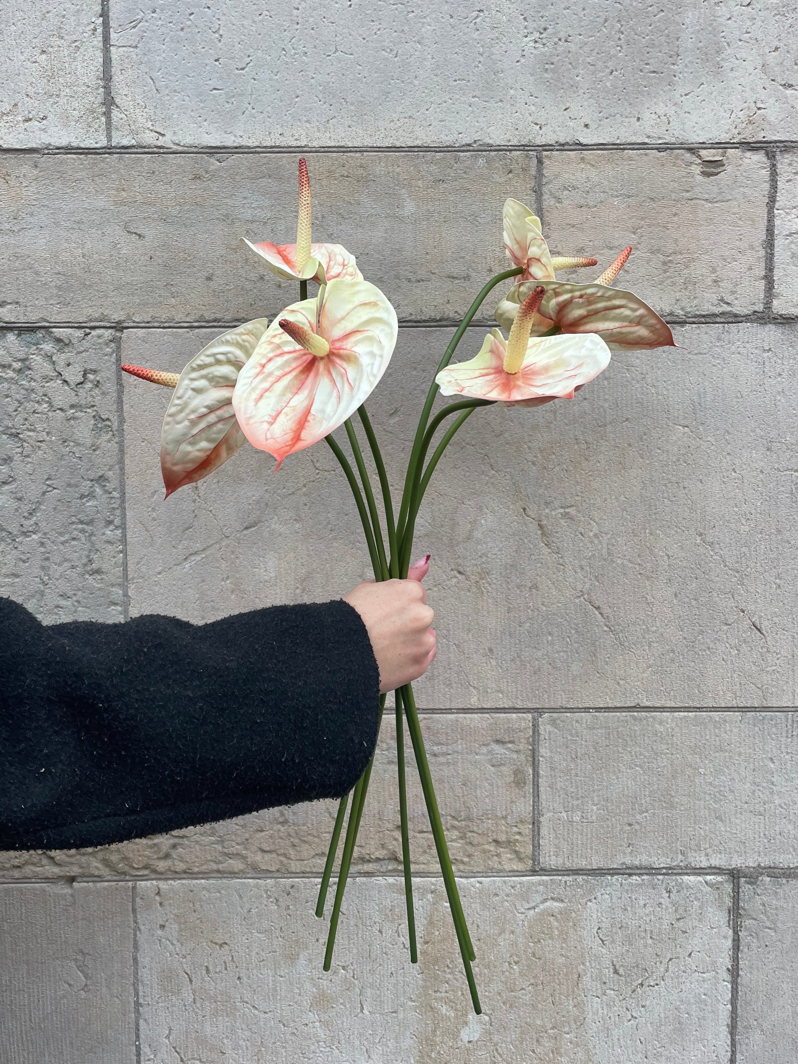Anthurium Orange/Vit, 60 cm