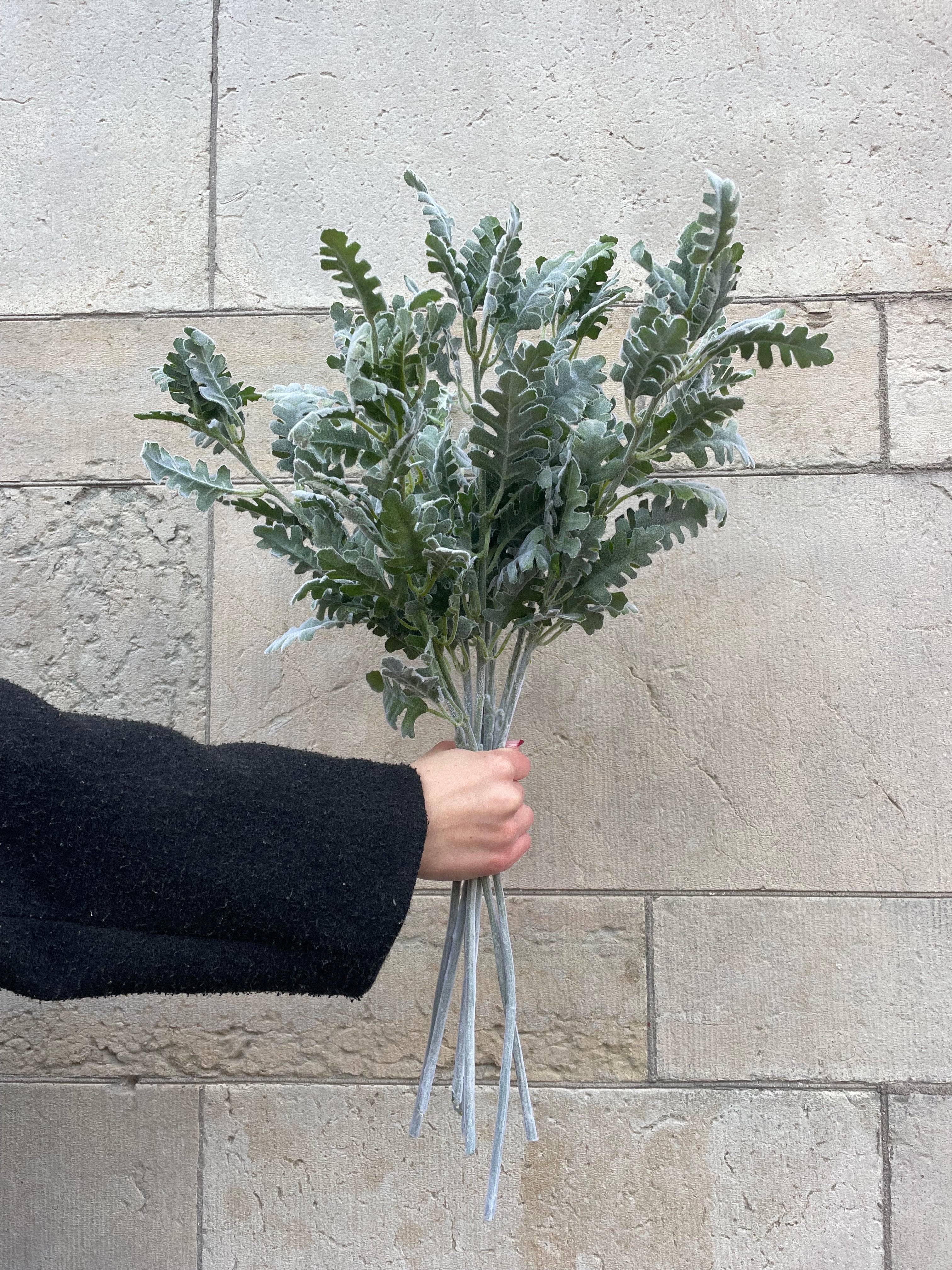 Silverax Grön, 60 cm