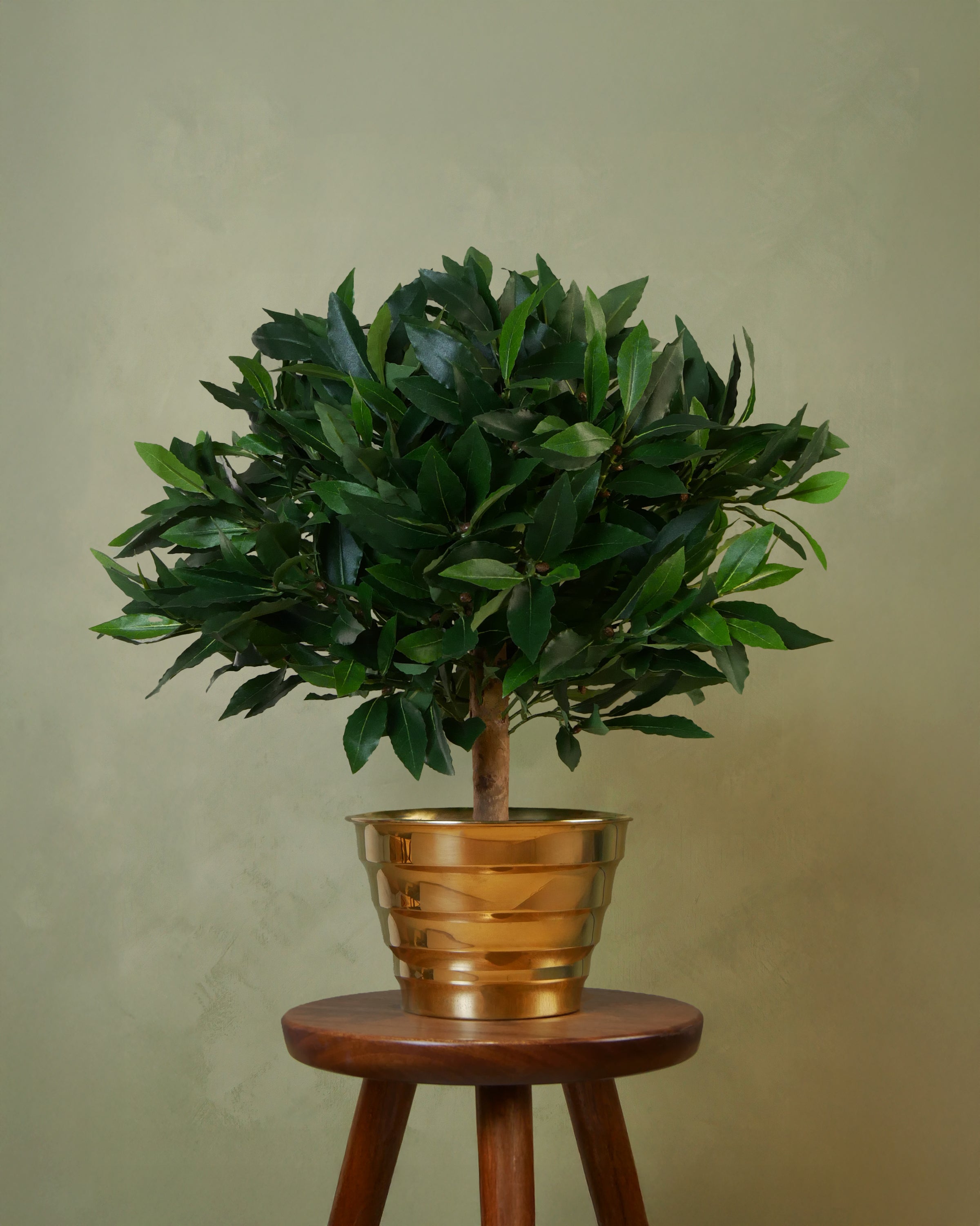 Lagerbladsboll UV, 25-50 cm