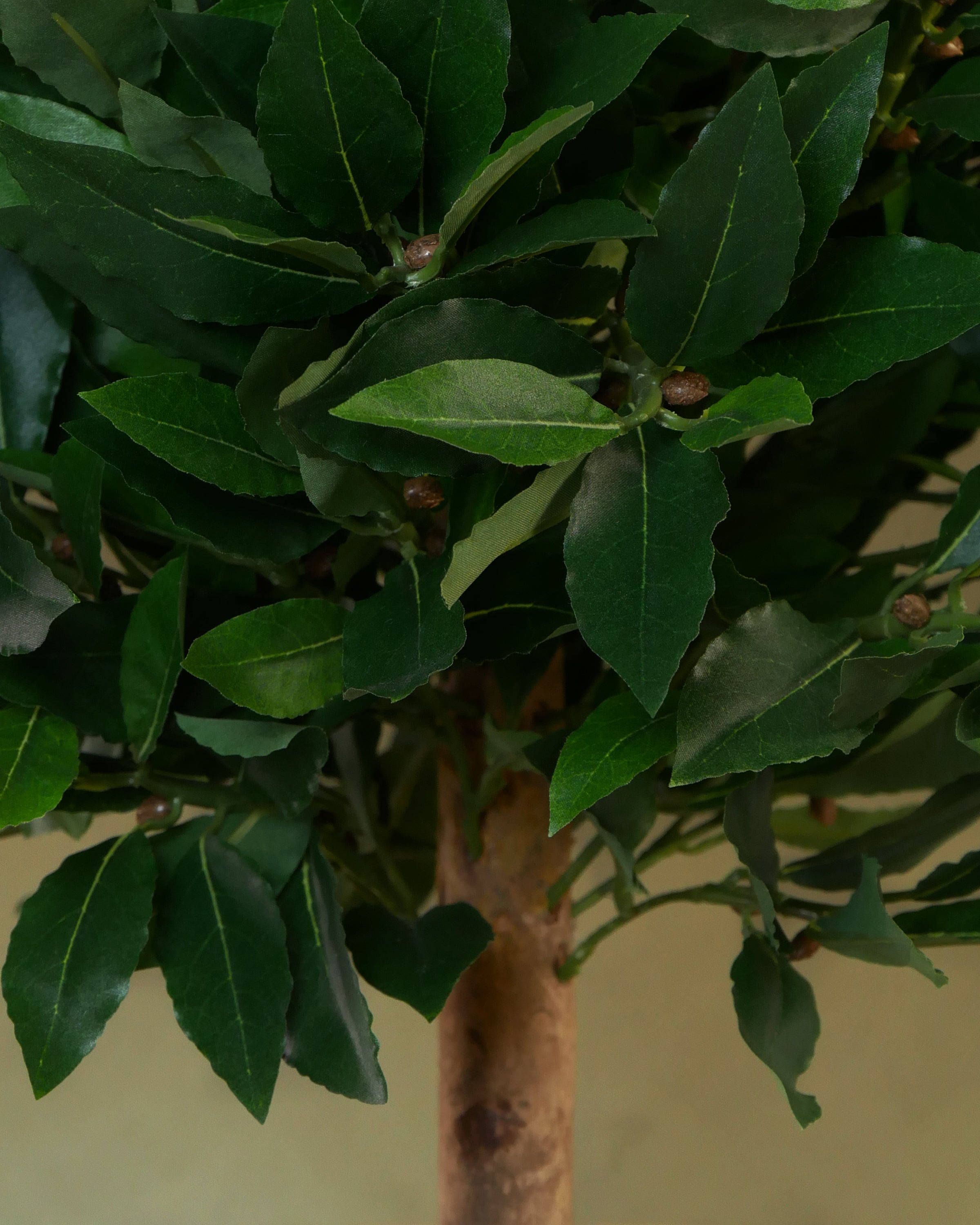 Lagerbladsboll UV, 25-50 cm