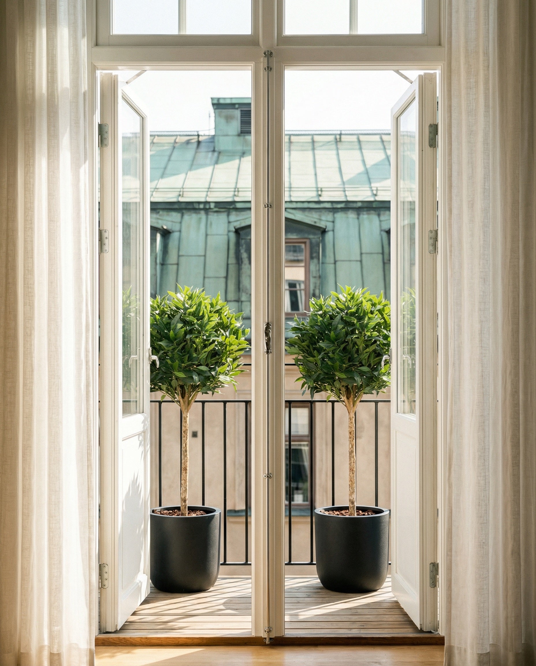 Lagerbladsboll på stam UV, 110-200 cm