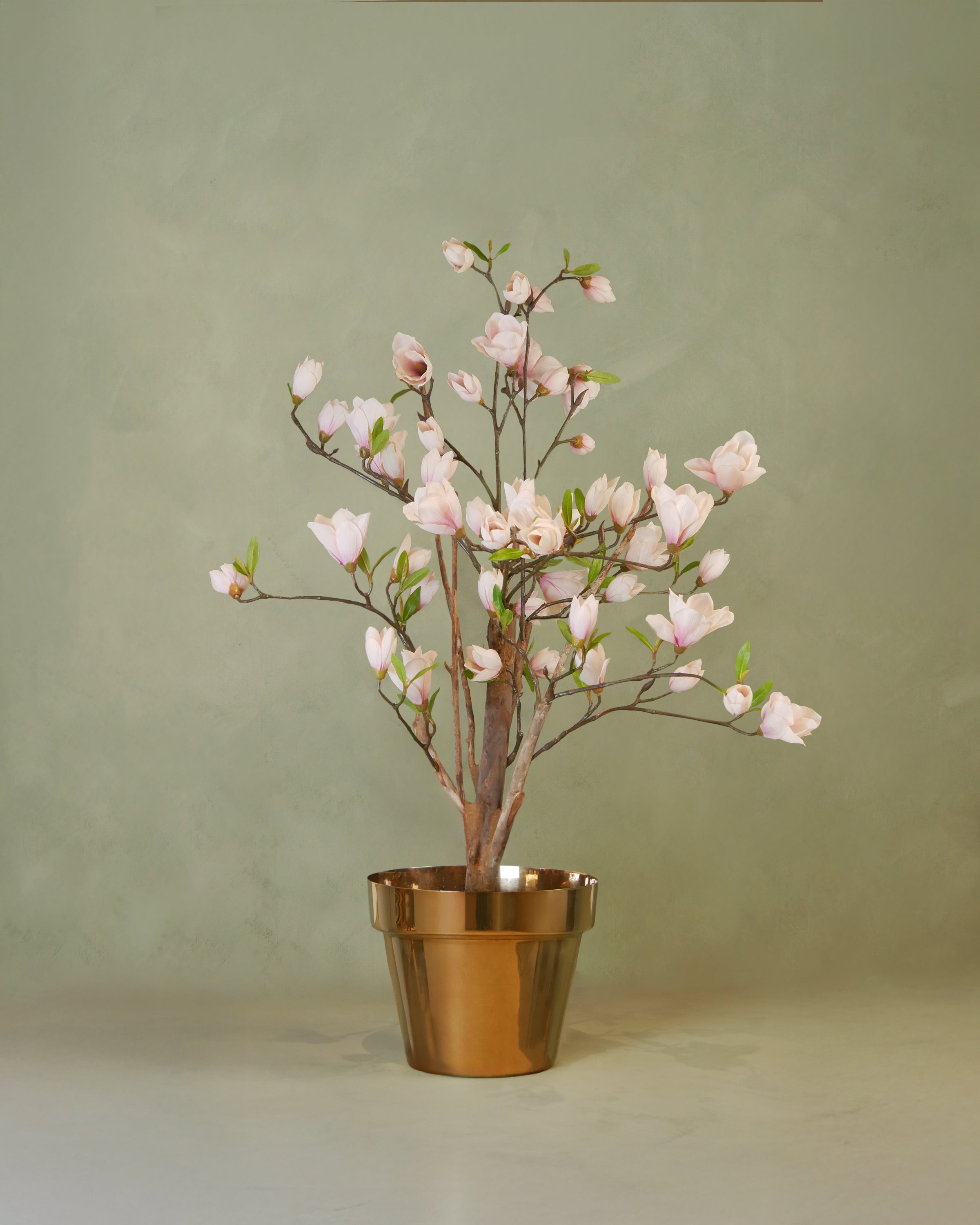 Magnolia 80 cm