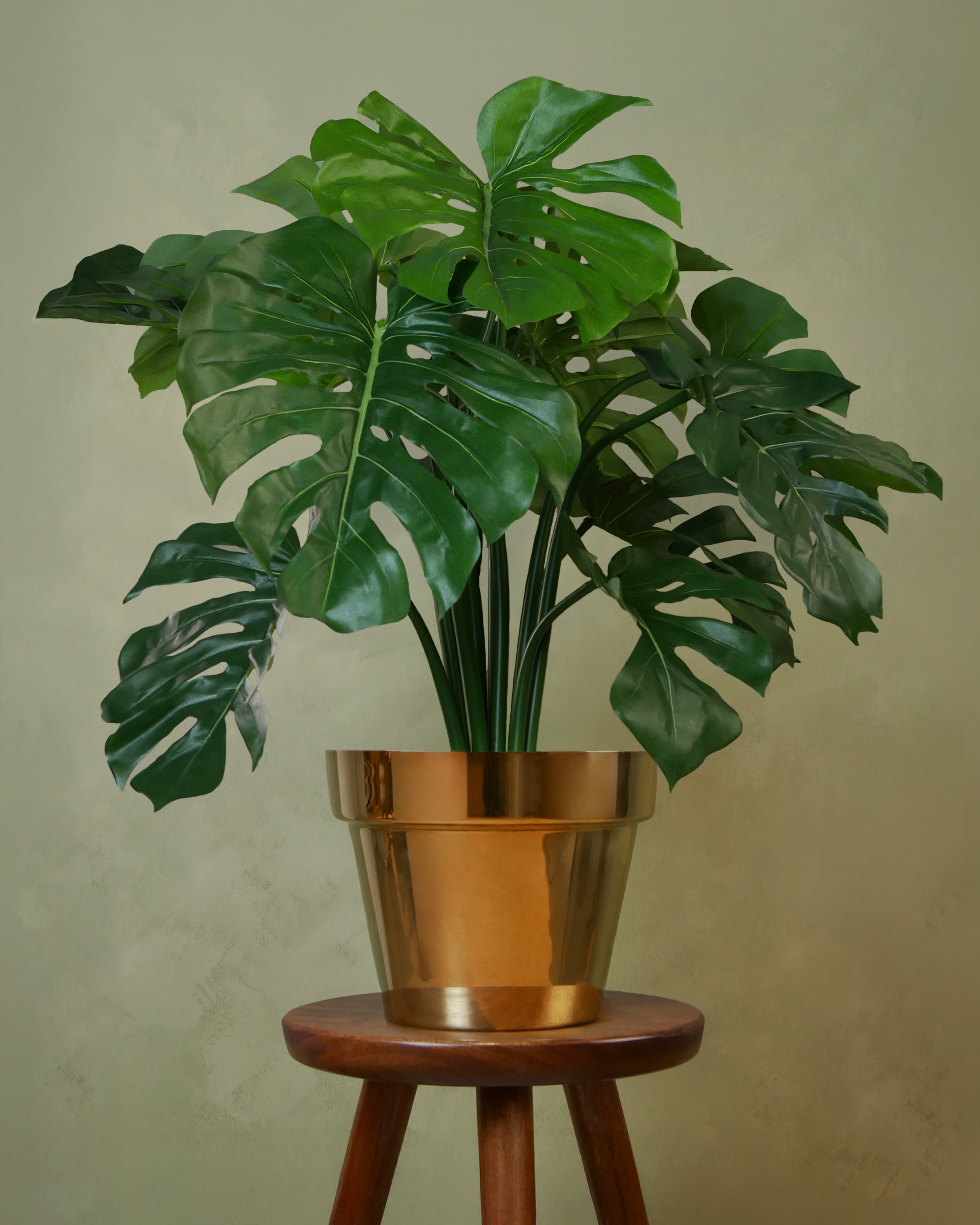 Monstera UV 63-80 cm