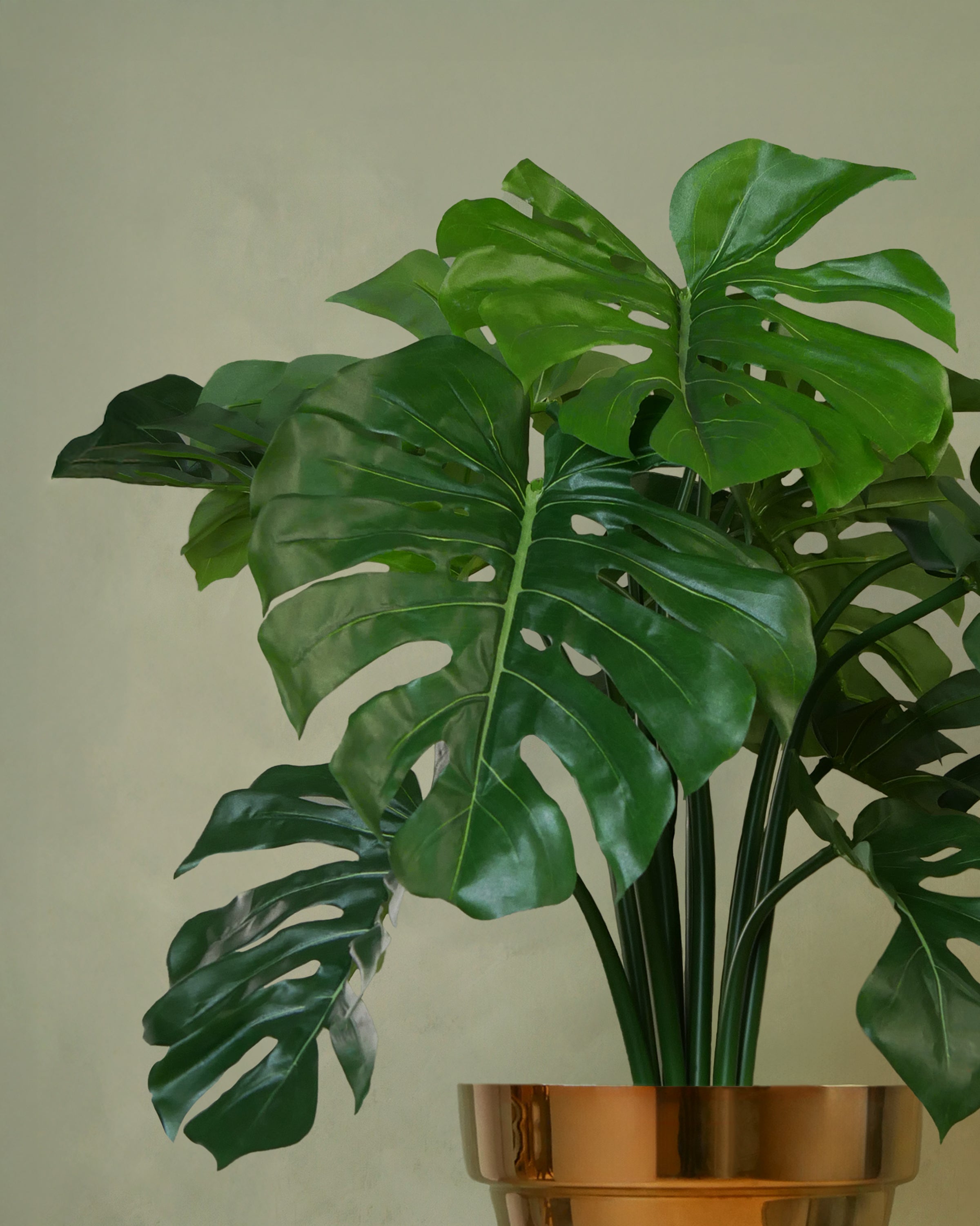 Monstera UV 63-80 cm