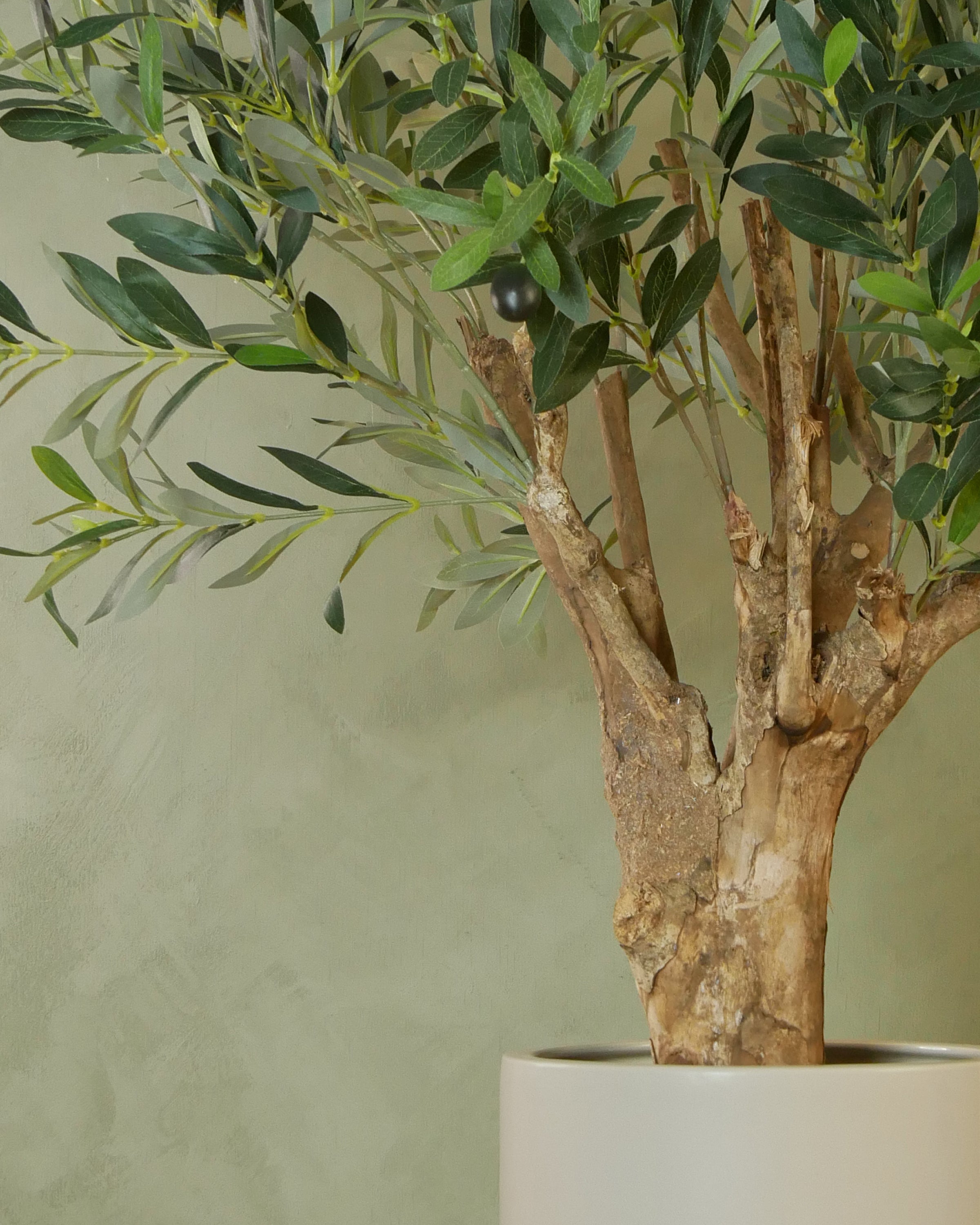 Exklusivt olivträd 90 cm