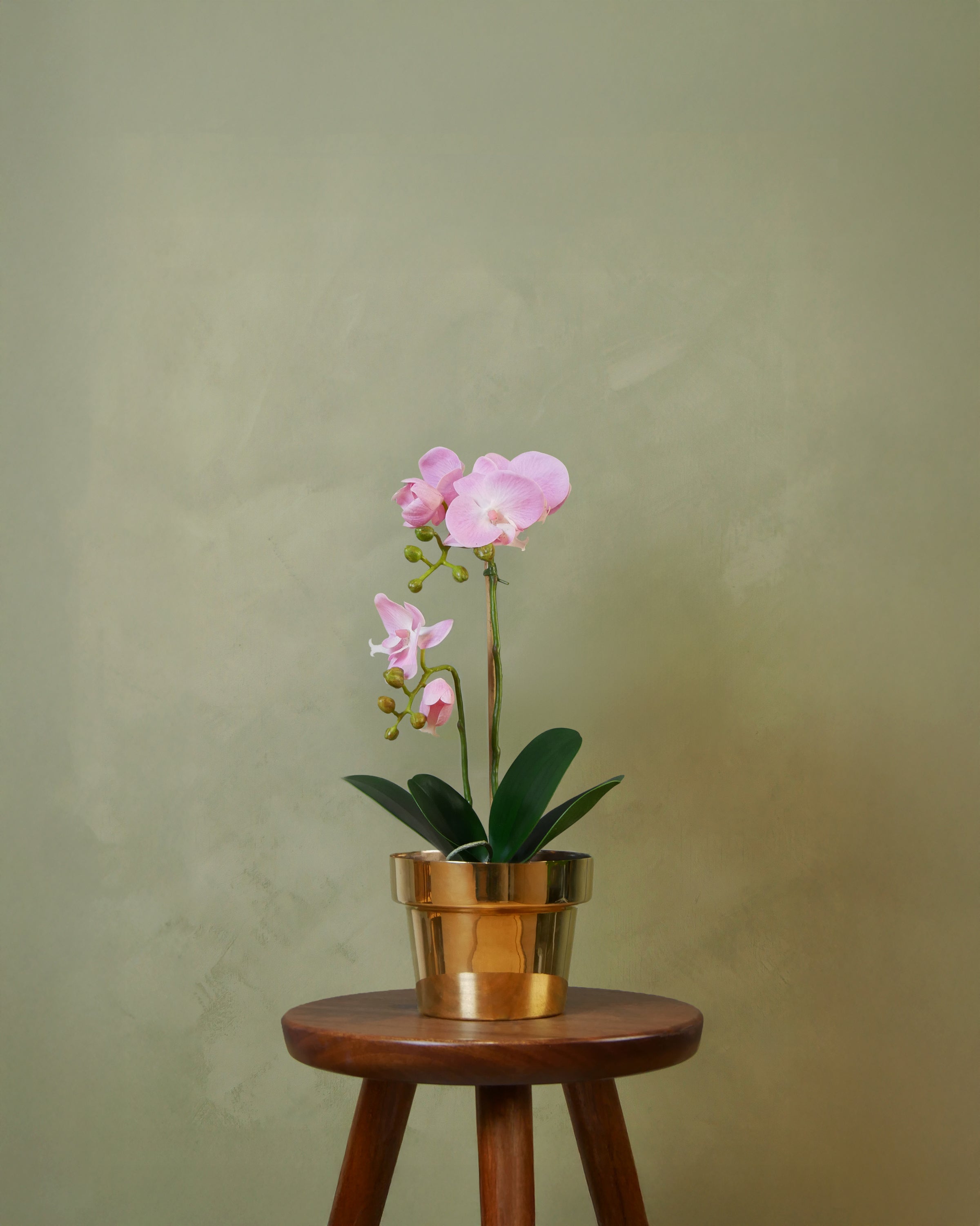 Orchid in pot 45 cm, light pink