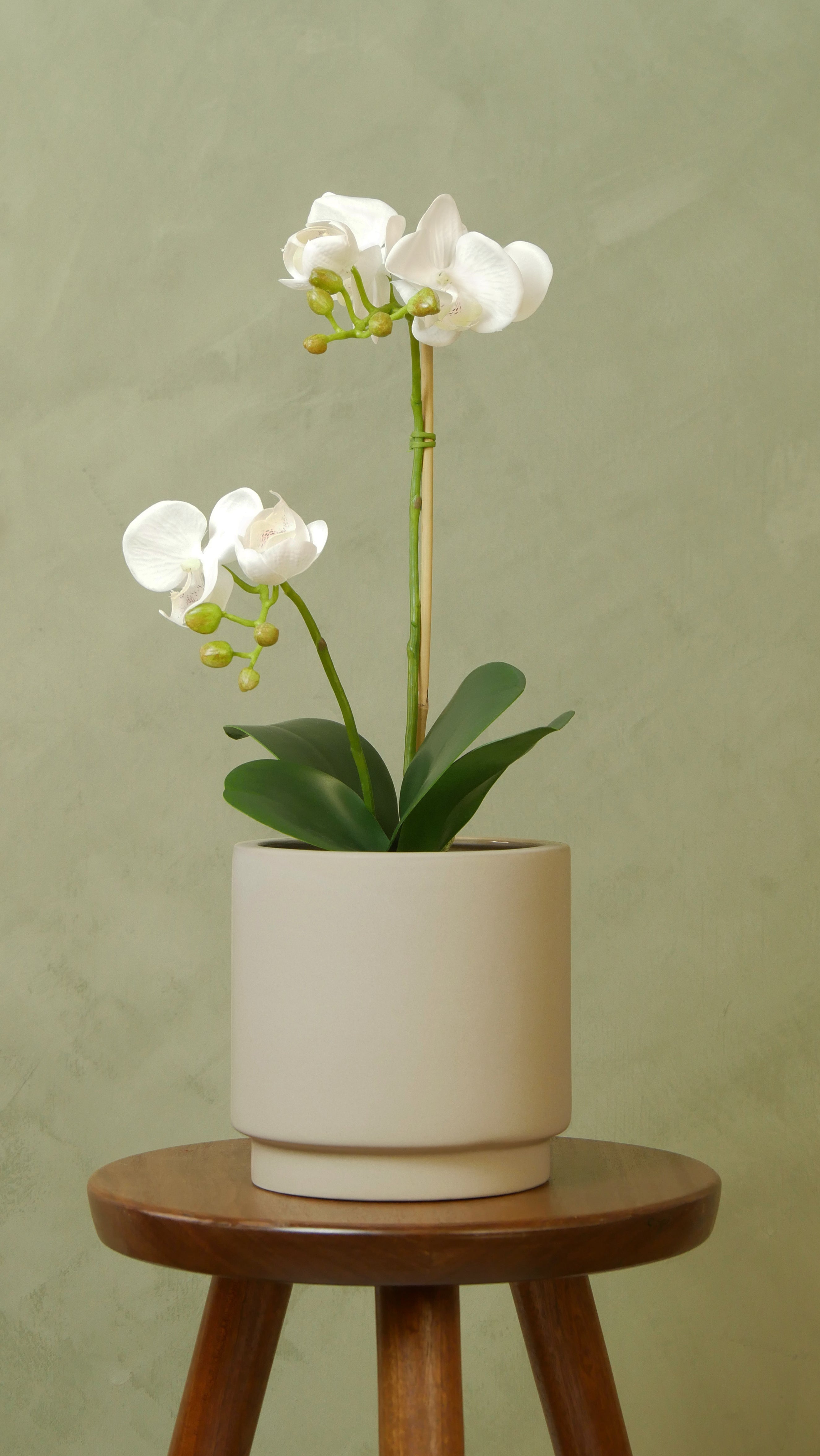 Orkidé i kruka 45 cm, vit