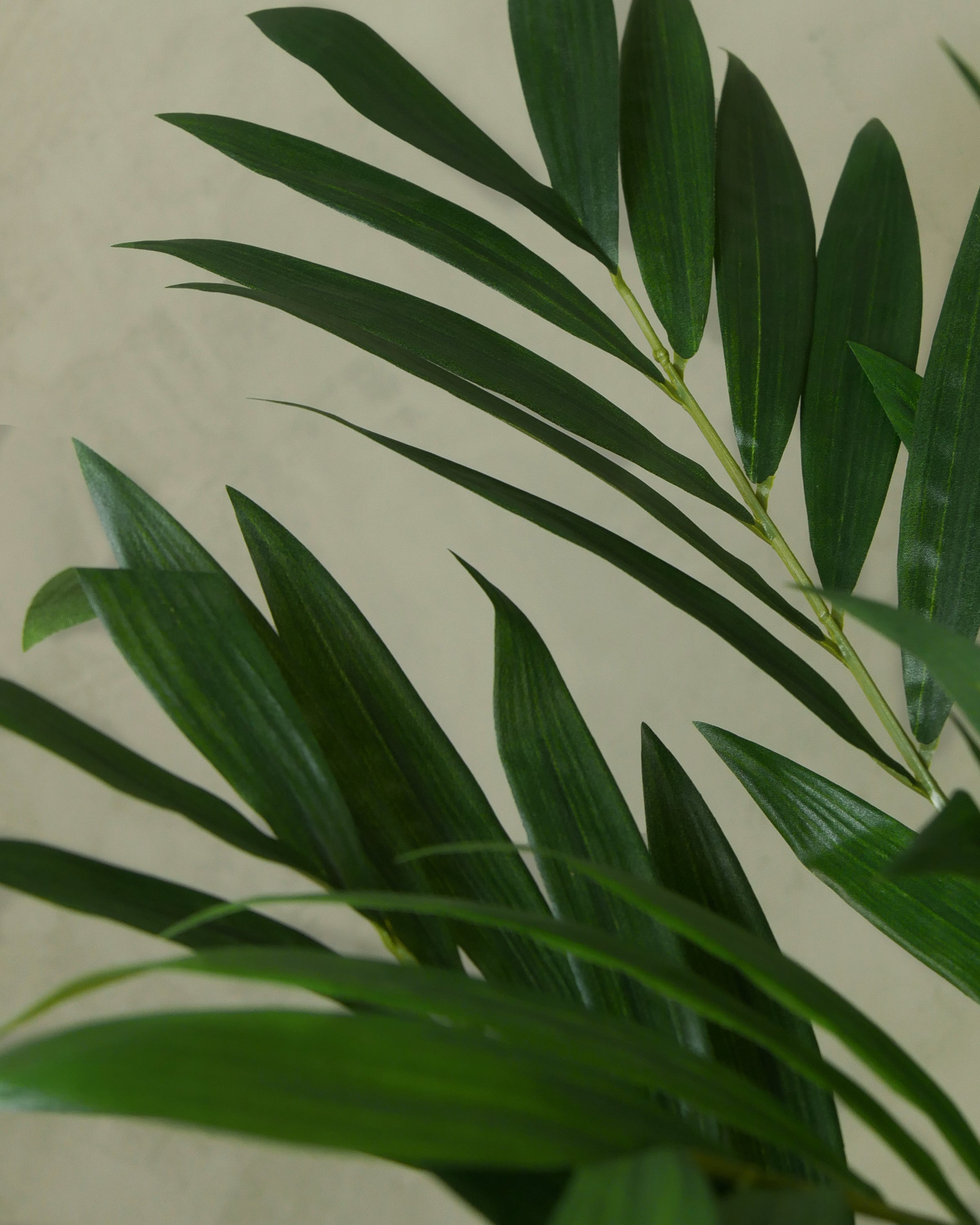 Parlour palm UV 45 cm