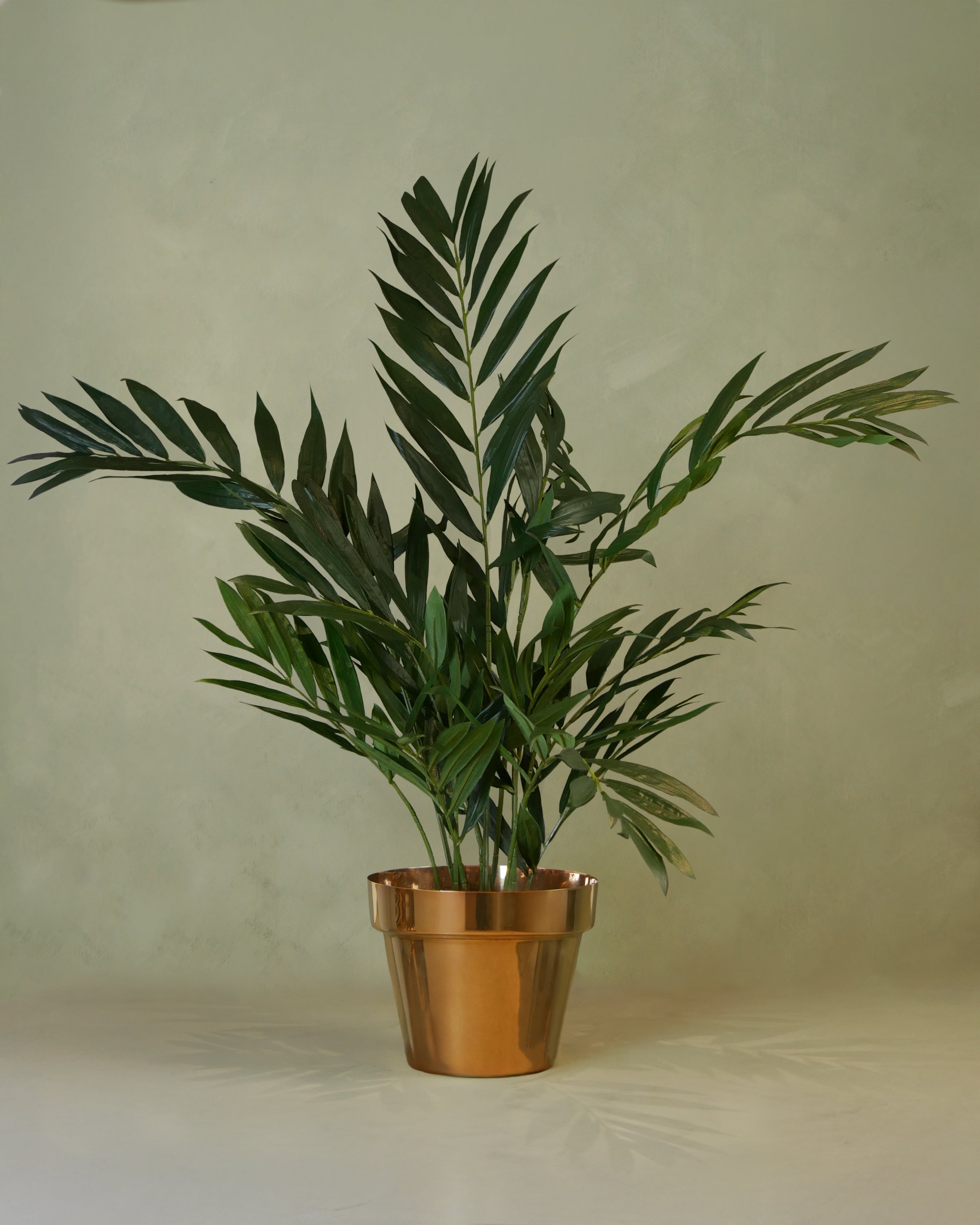 Parlor palm UV 90 cm