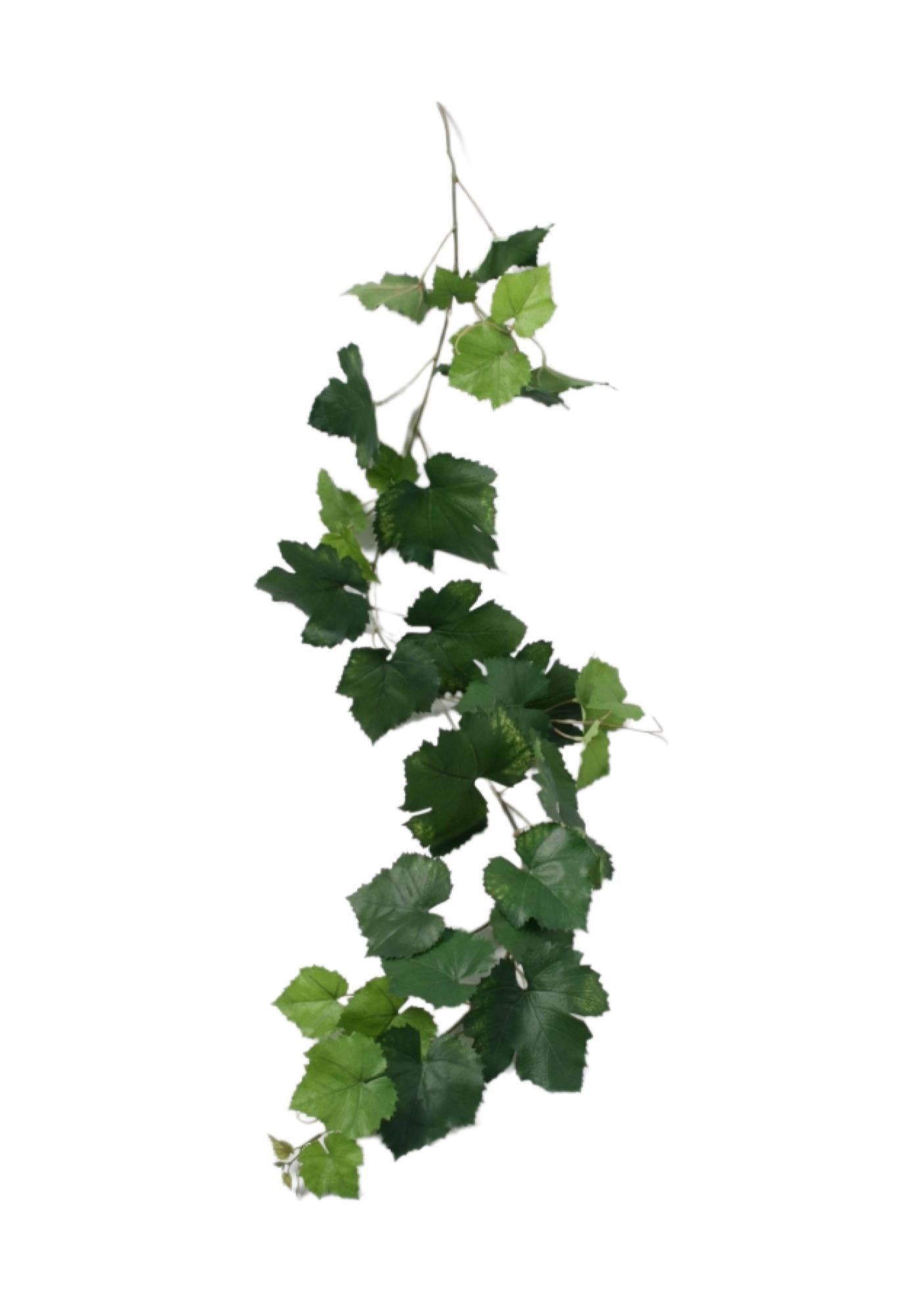 Vinranka slinga UV 118 cm