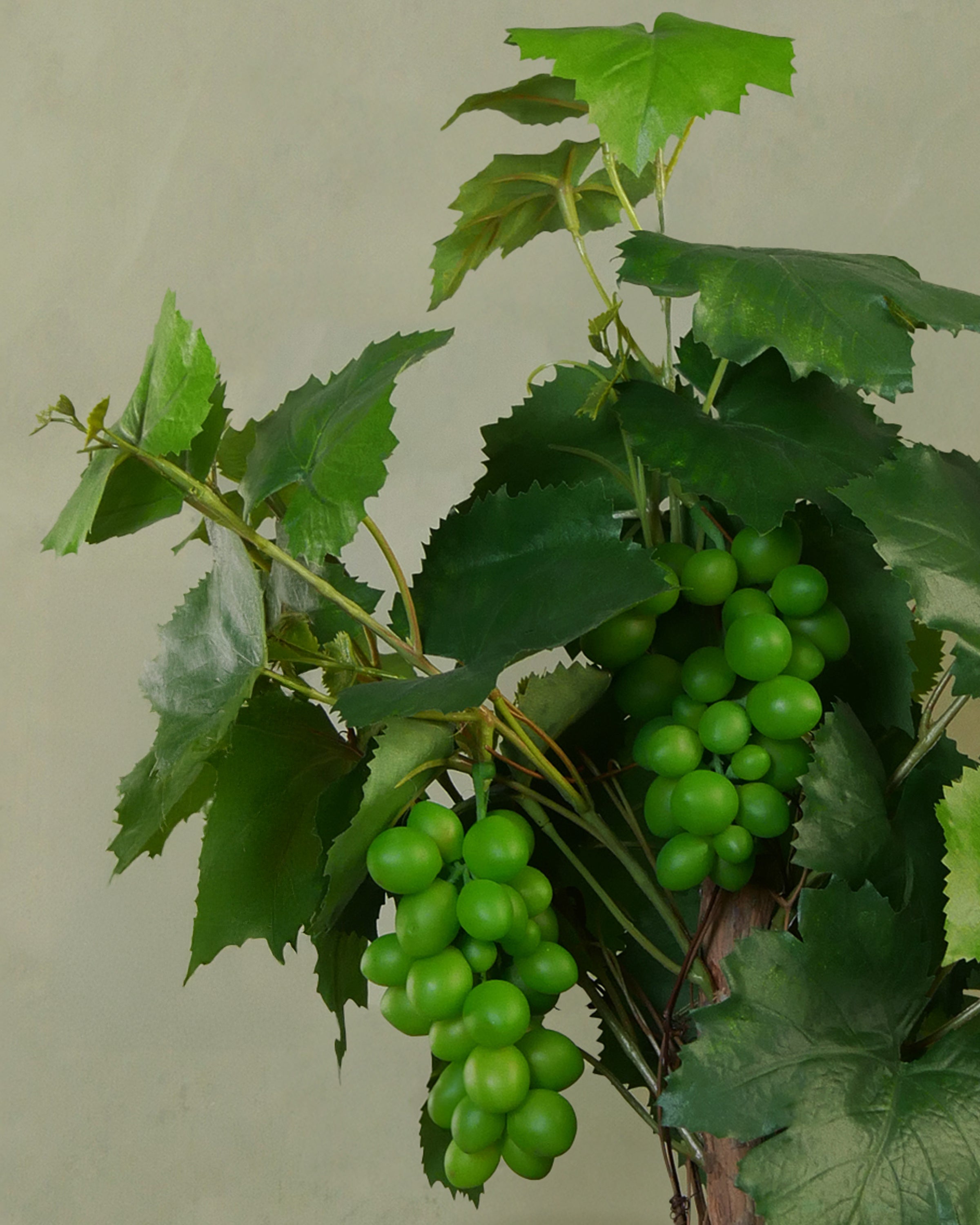 Vindruva i kruka 20 cm