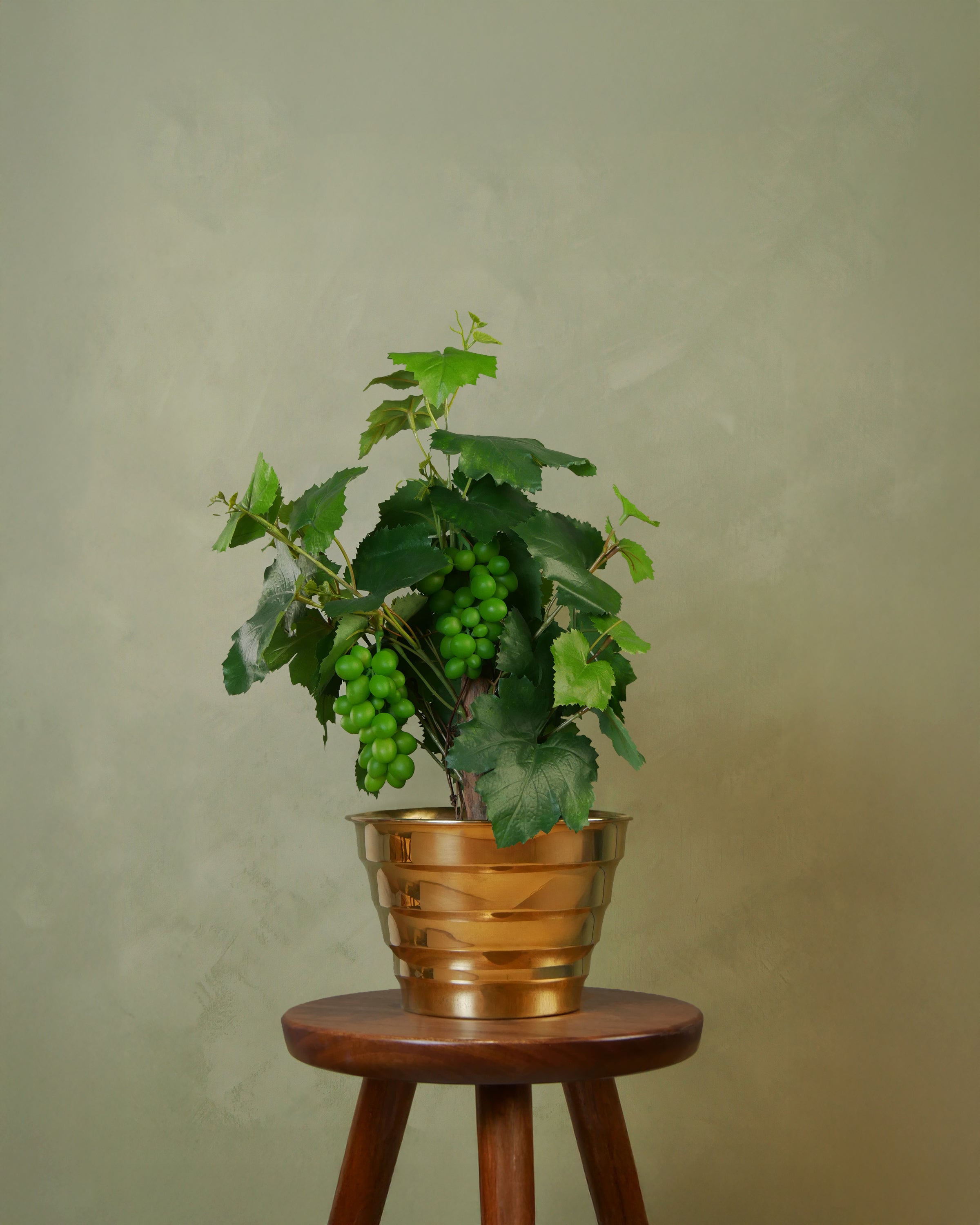 Vindruva i kruka 20 cm