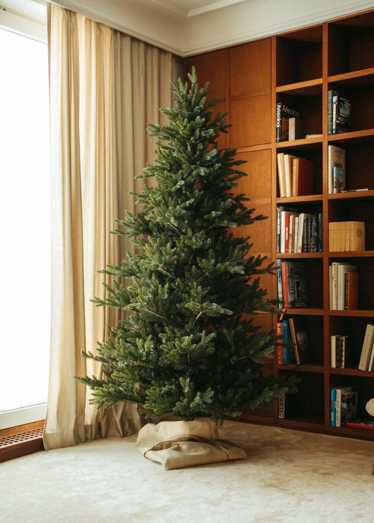 Christmas tree MacAllan. Artificial tree 155 - 260 cm