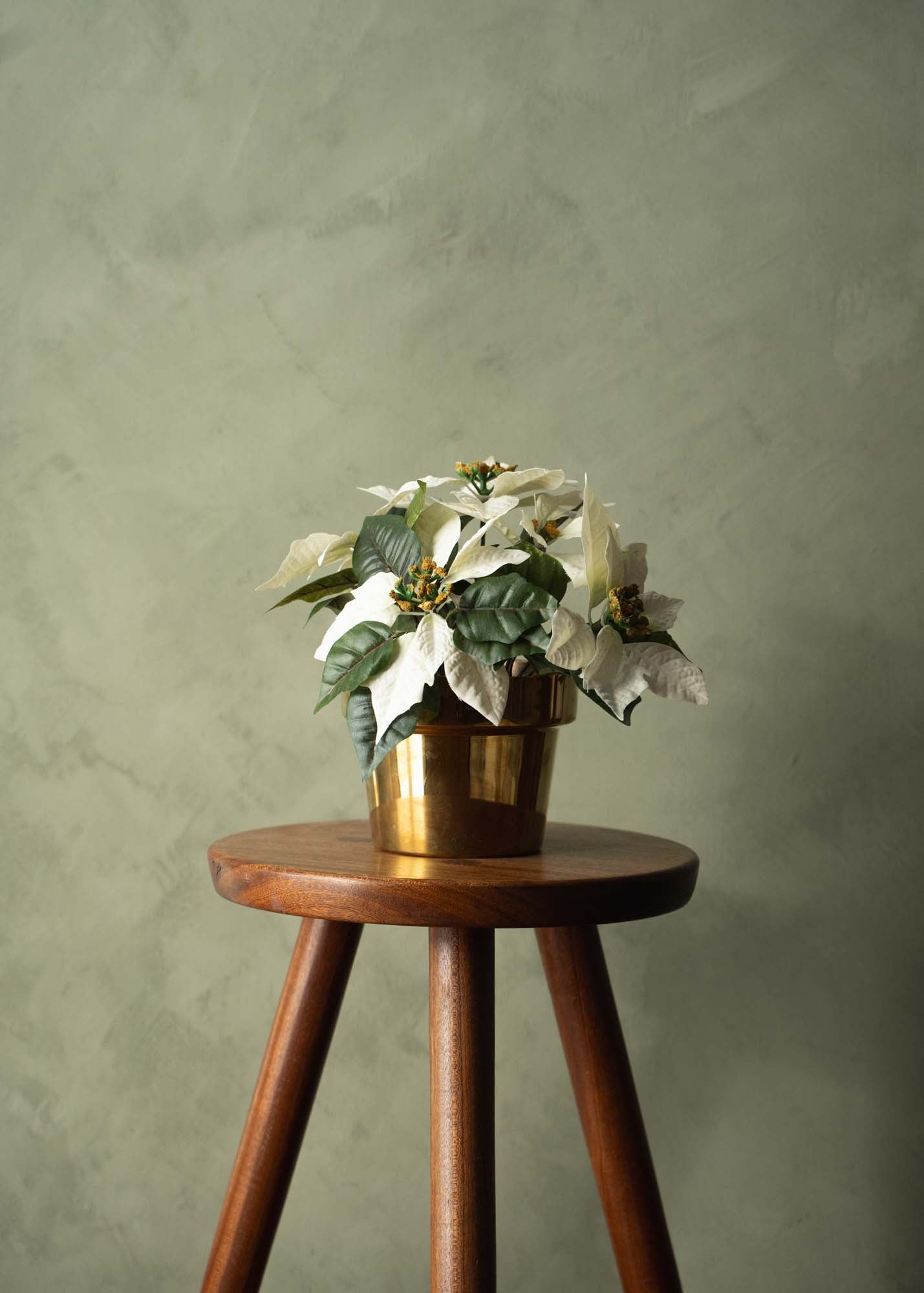 Christmas star 26-35 cm, white