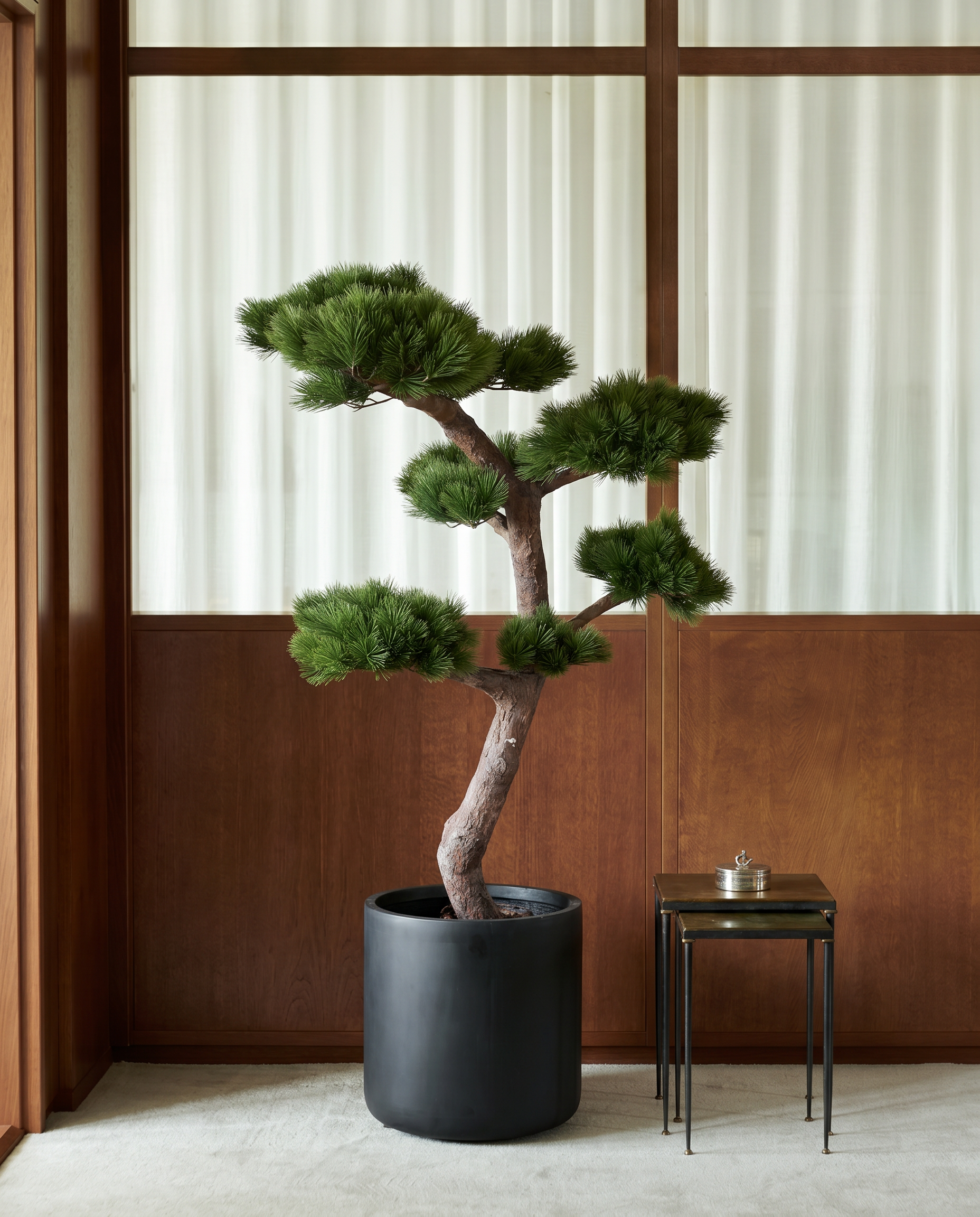 Tall Bonsai 140 cm, UV