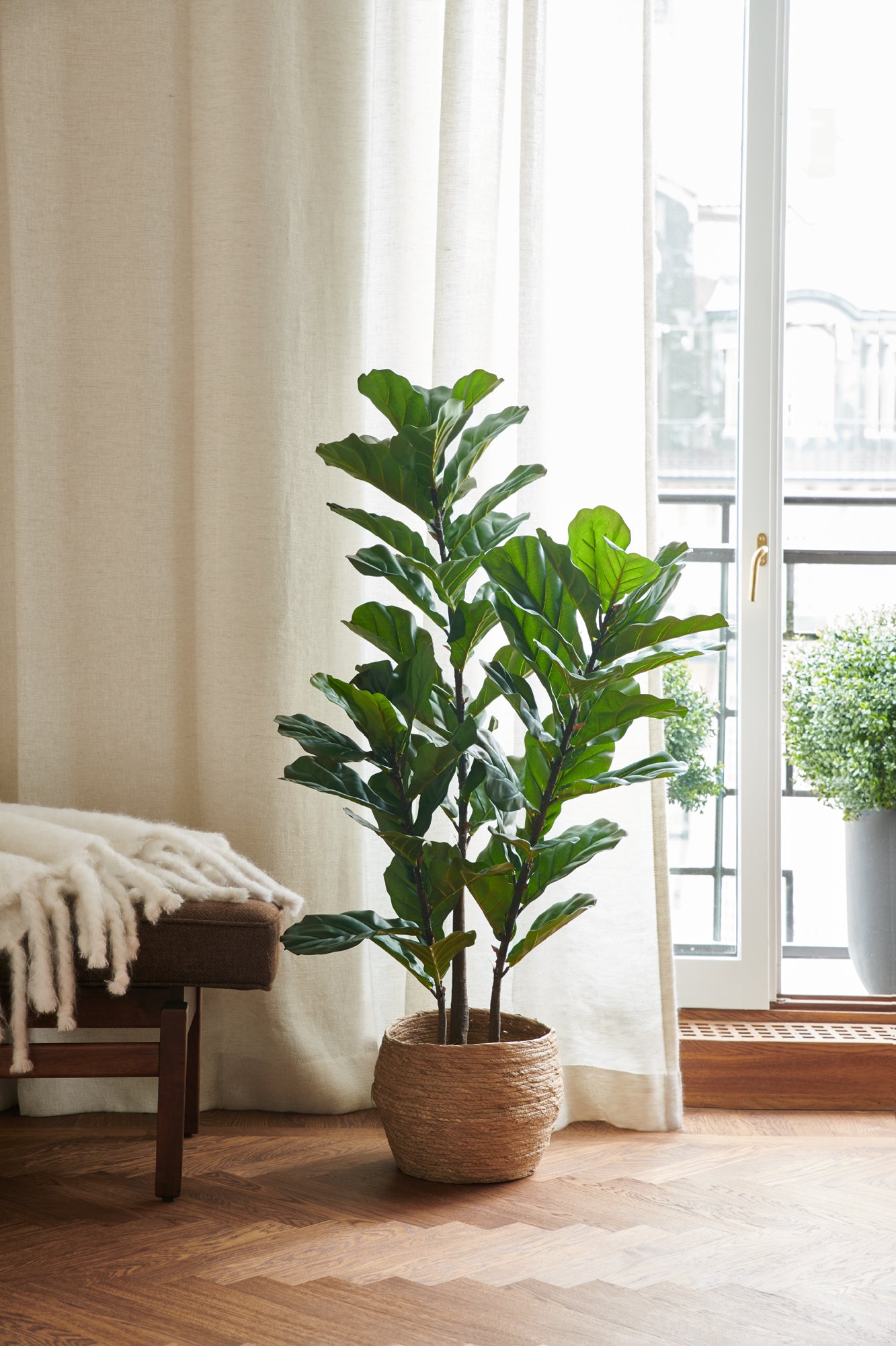 Fiolfikus UV 100-140 cm